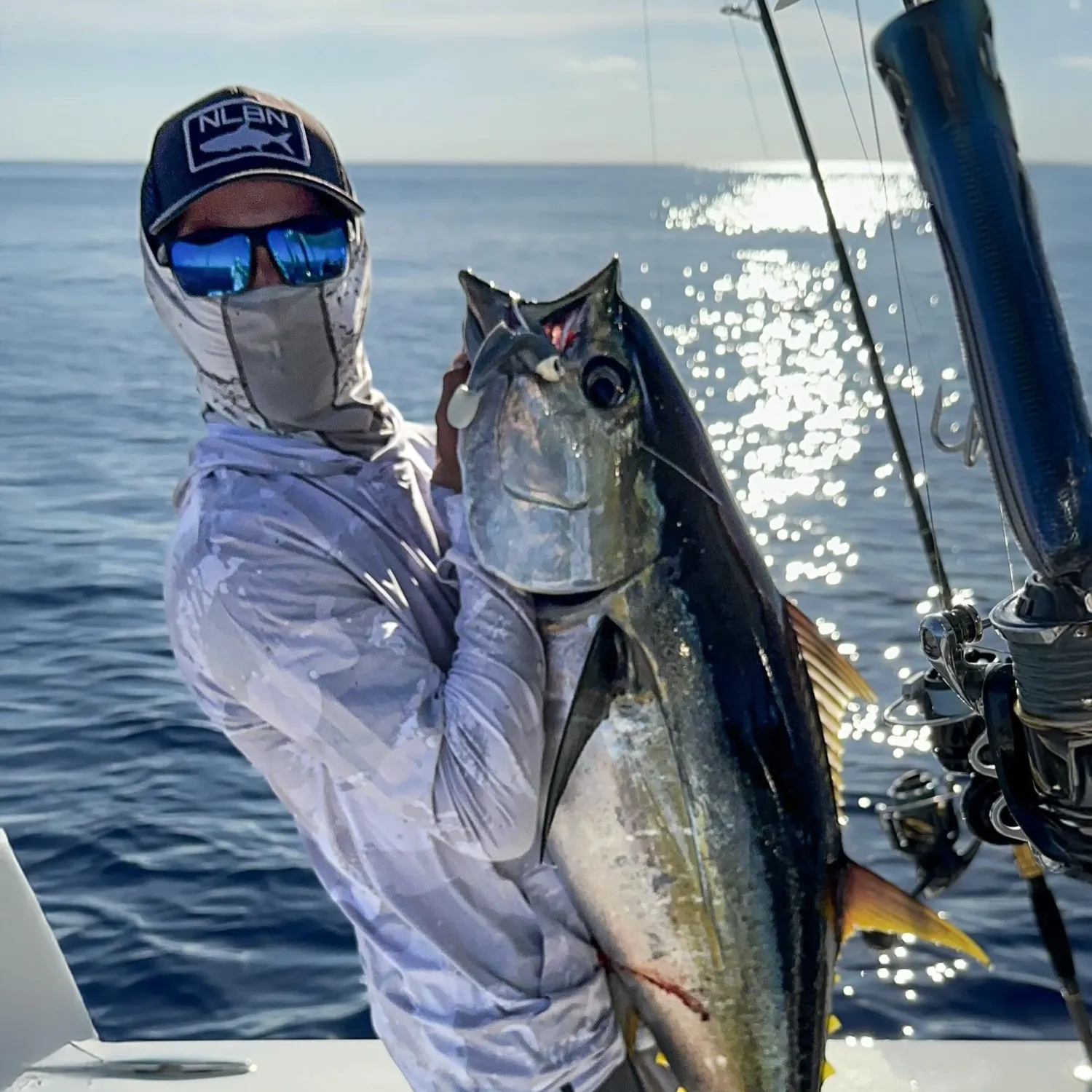 The most recent Yellowfin tuna catches on Fishbrain