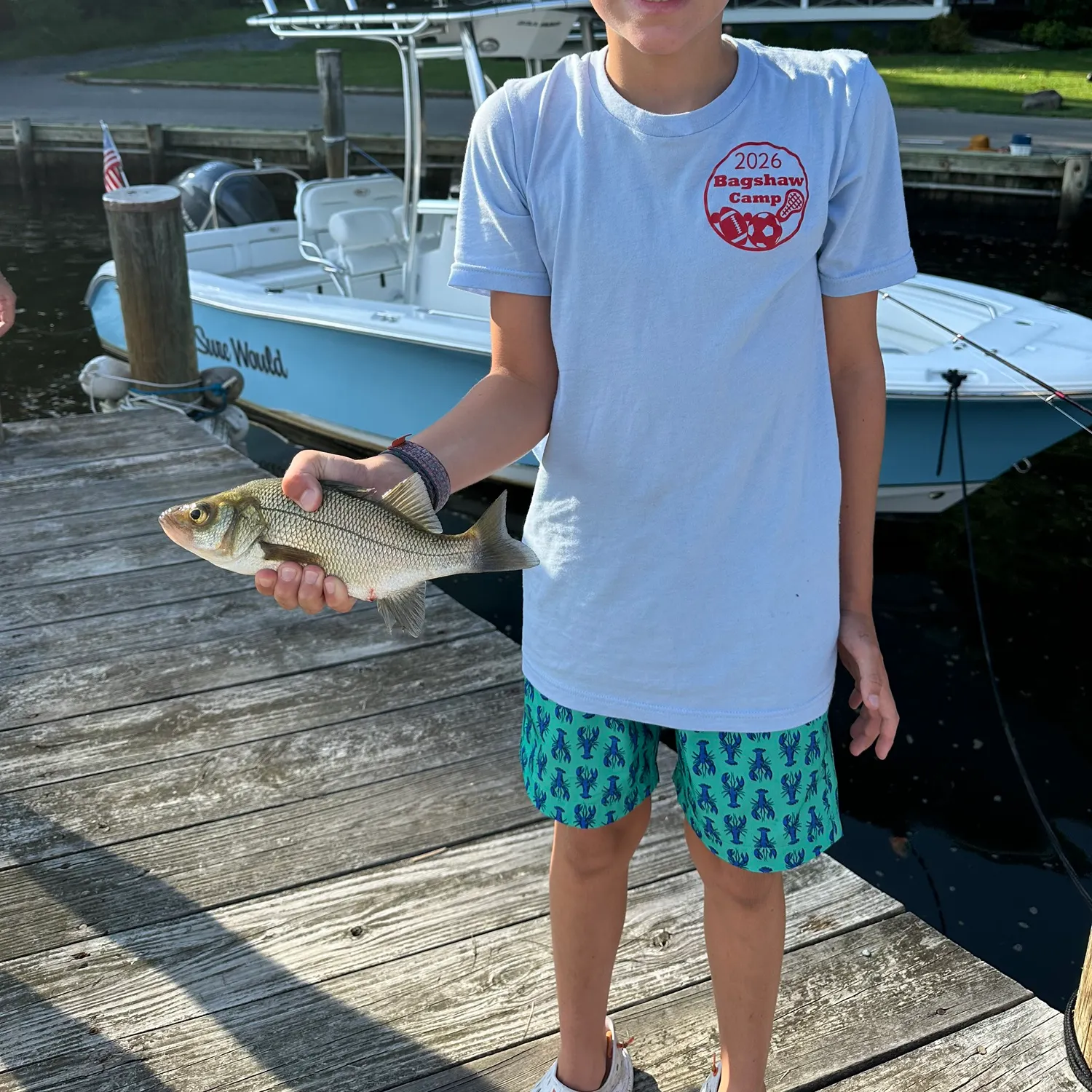 White perch caught on Fishbrain