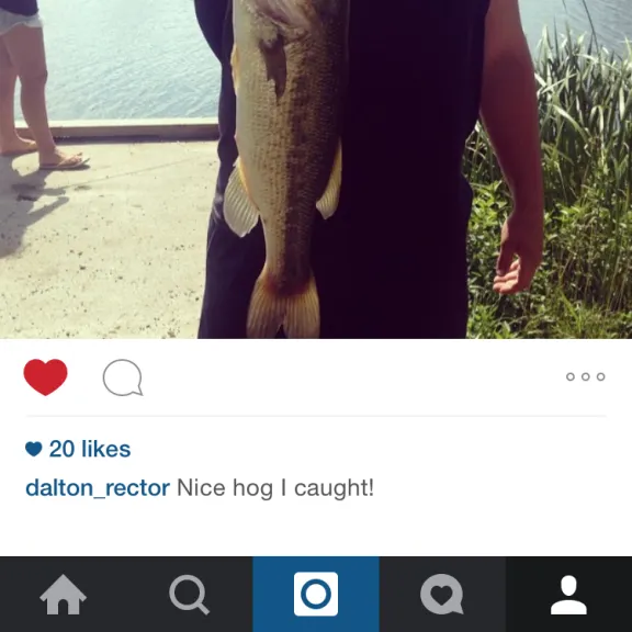 recently logged catches