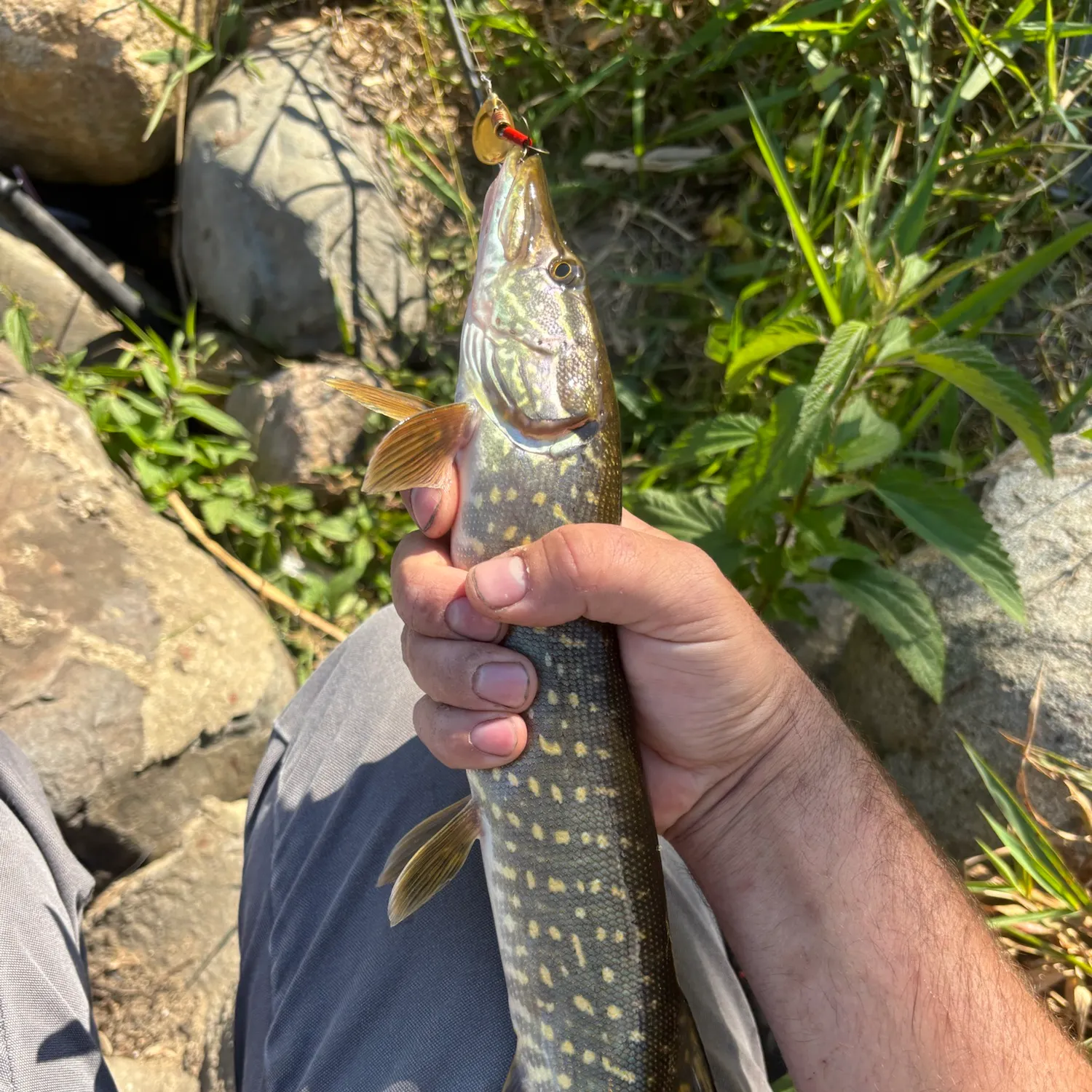catch