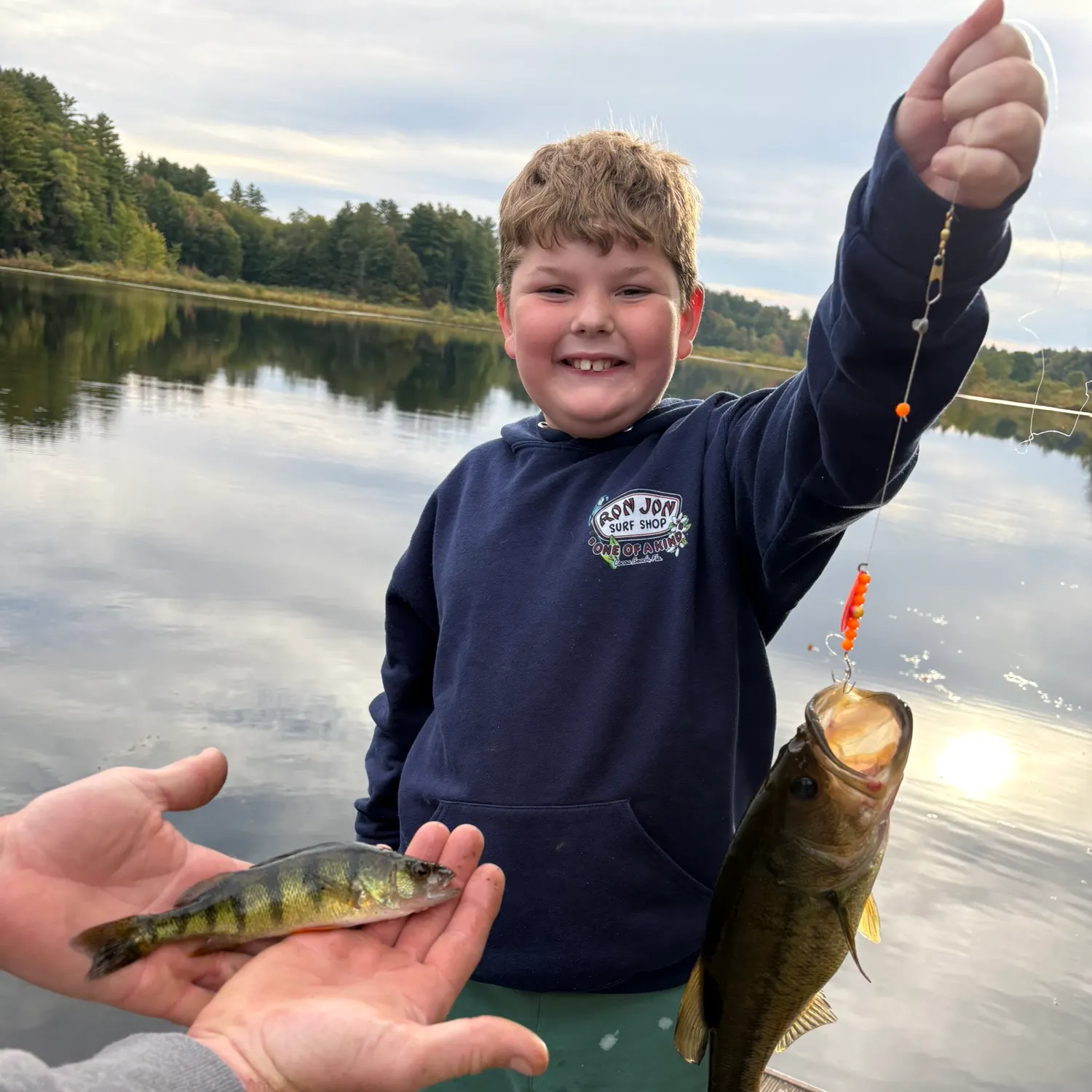 Grass pickerel caught on Fishbrain