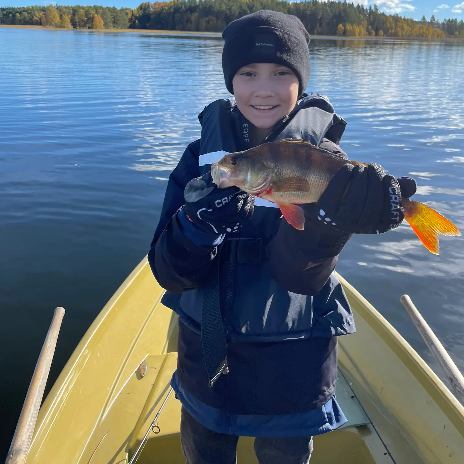 European perch caught on Fishbrain