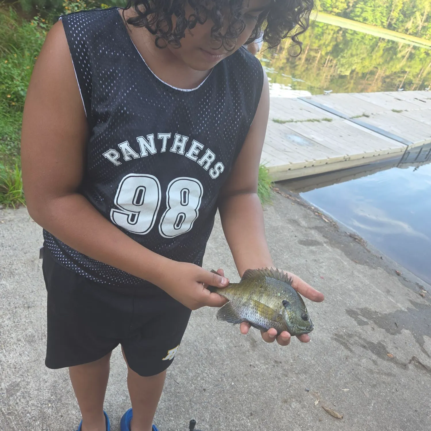 Bluegill caught on Fishbrain