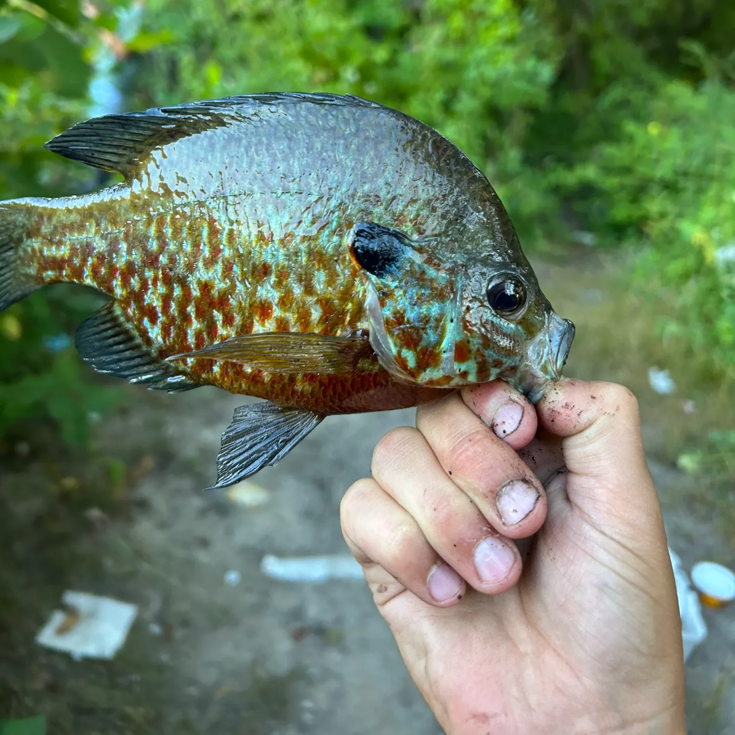 catch