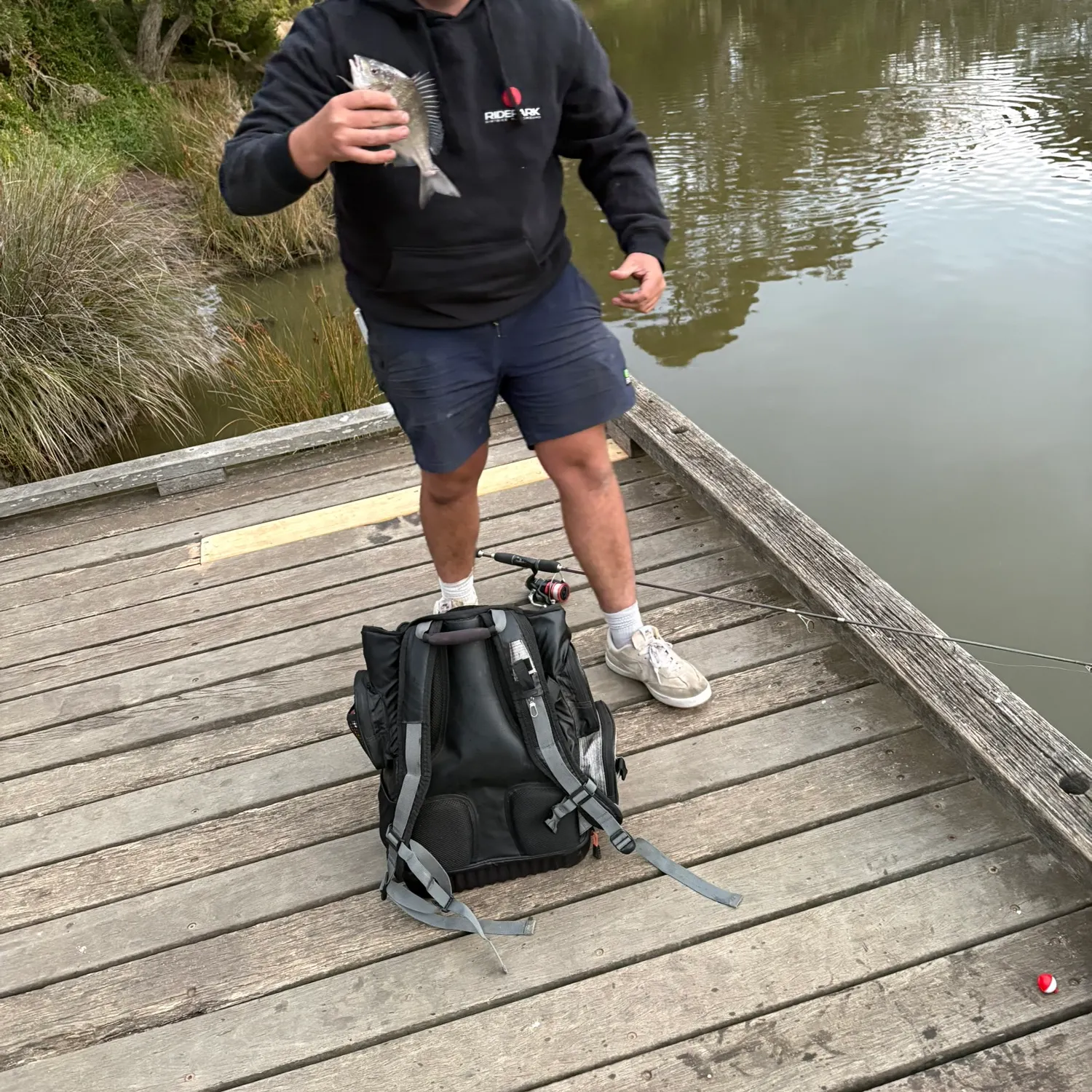 The most recent Southern black bream catches on Fishbrain