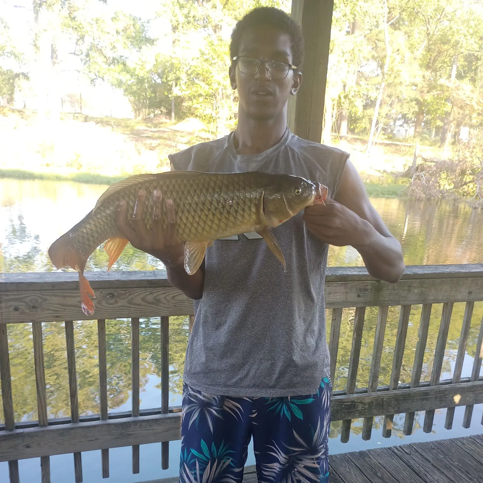 Common carp caught on Fishbrain