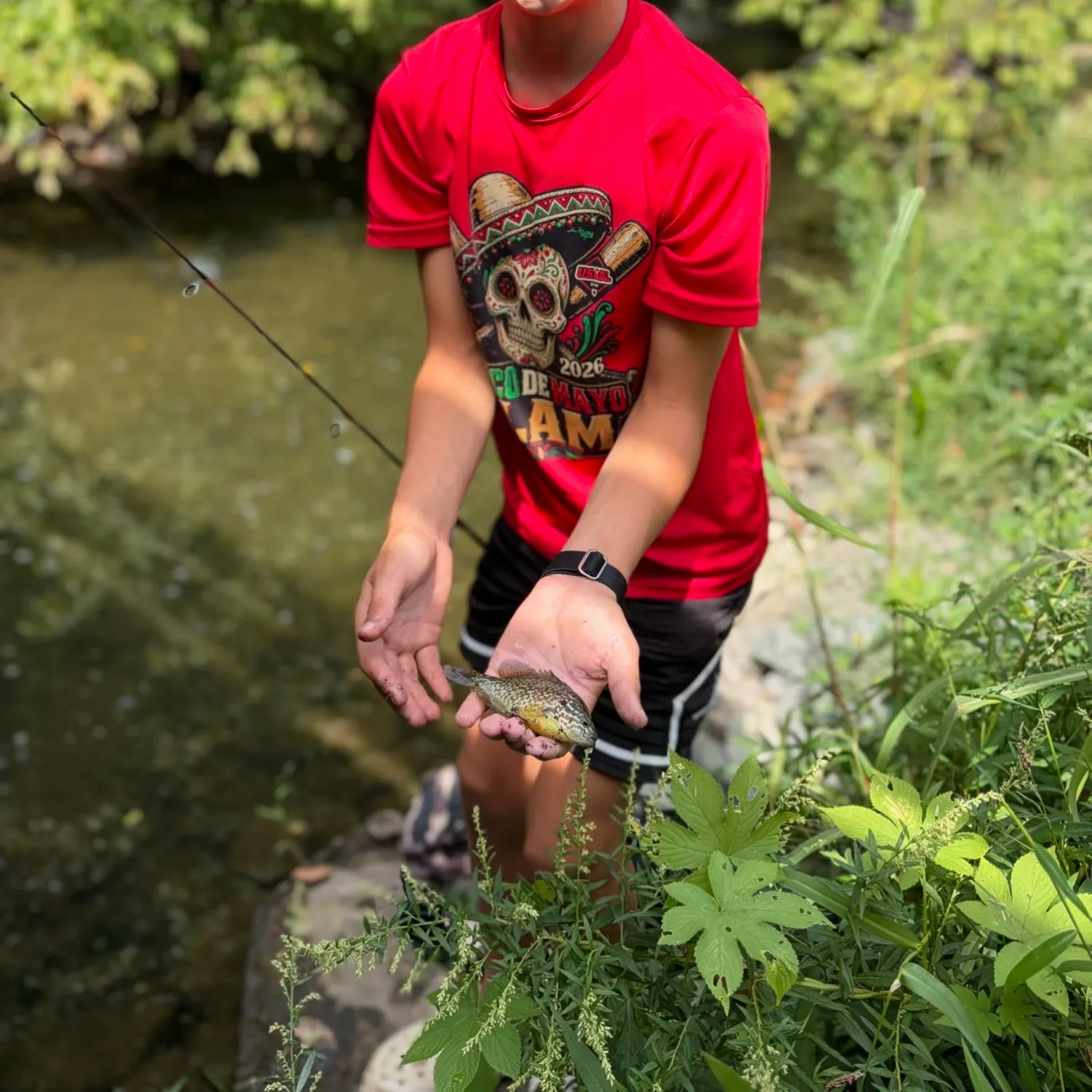 River chub caught on Fishbrain