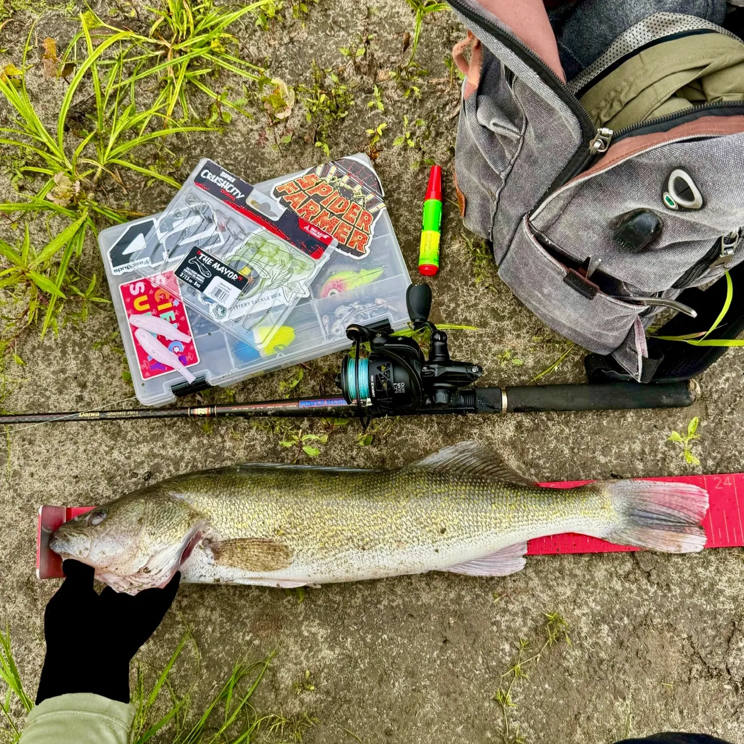 catch