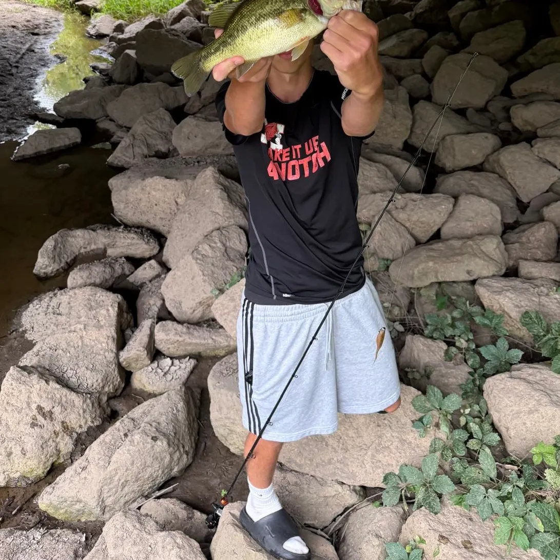 Largemouth bass caught on Fishbrain
