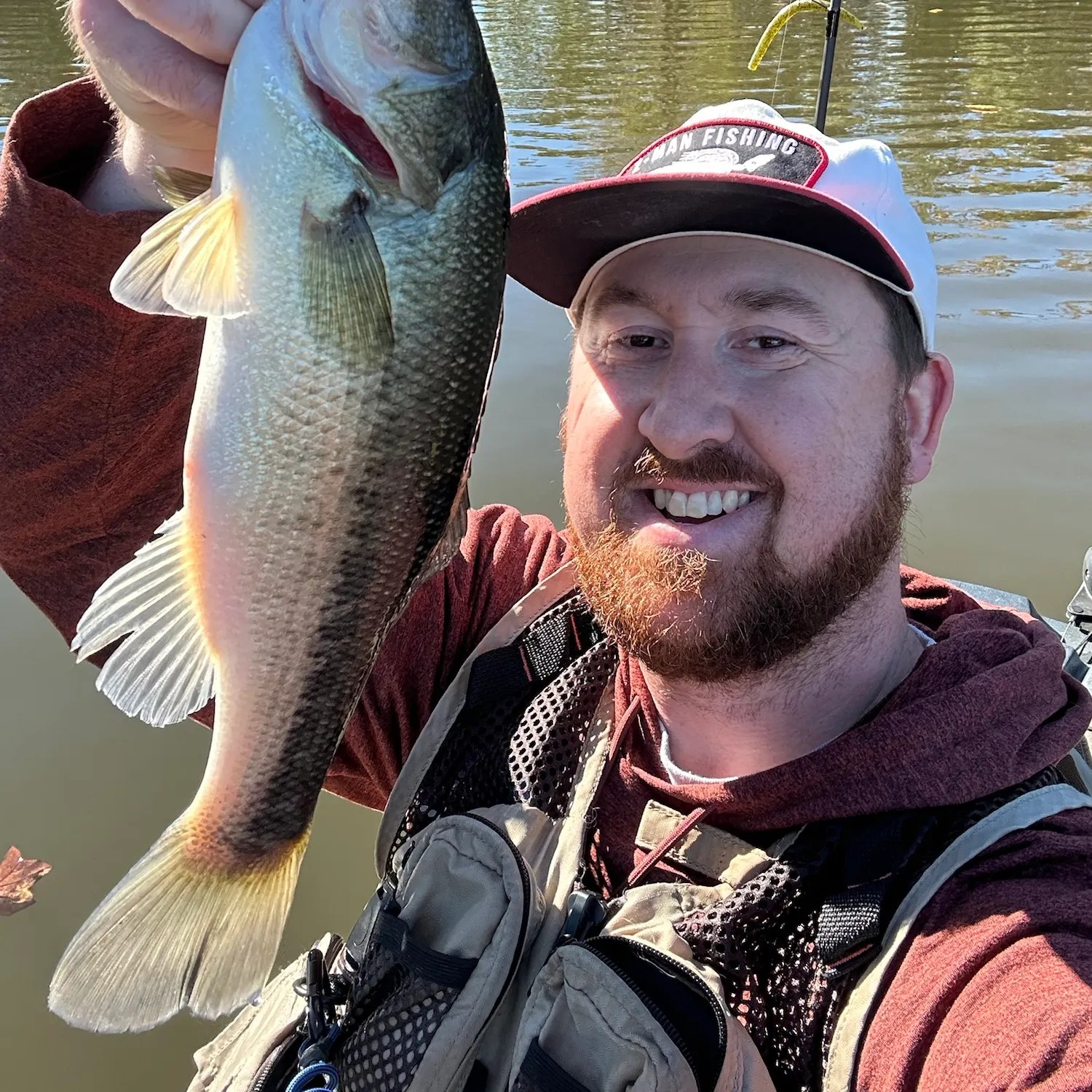 Largemouth bass caught on Fishbrain