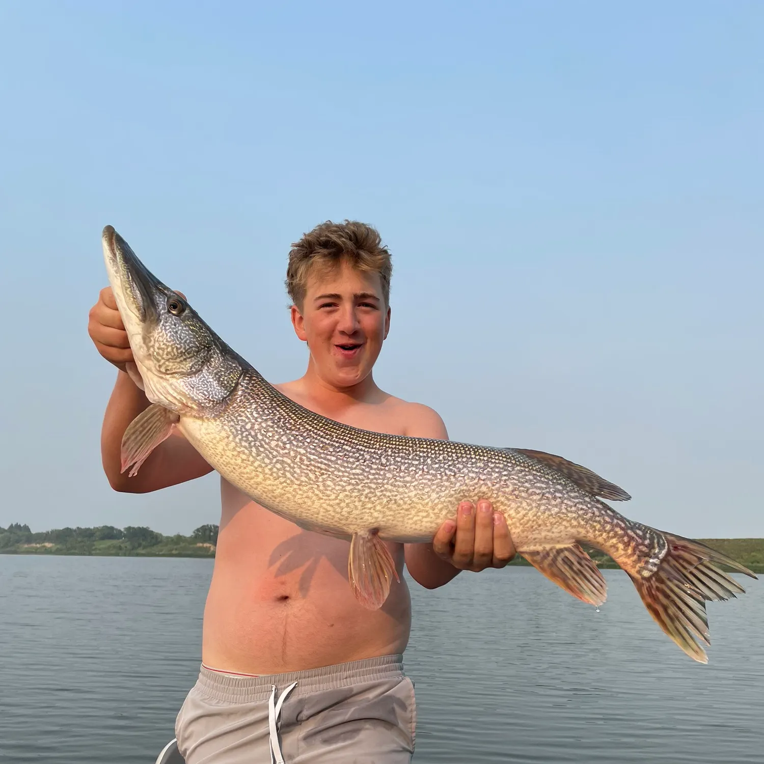 The most recent Northern pike catches on Fishbrain
