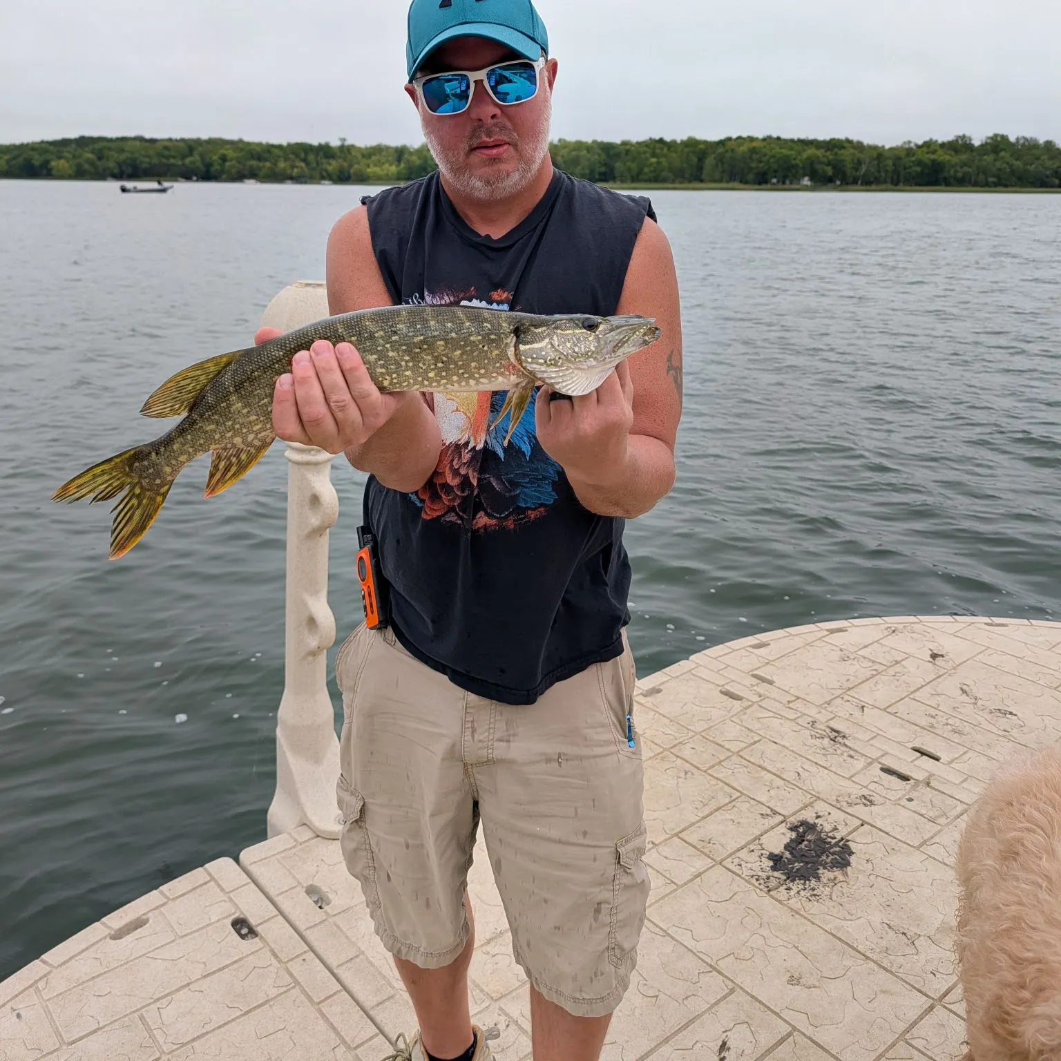 Northern pike caught on Fishbrain