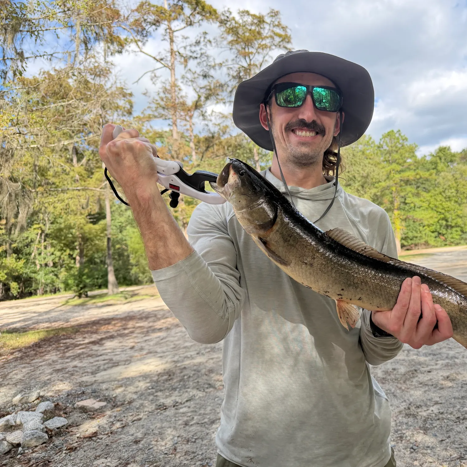 Ruddy bowfin caught on Fishbrain