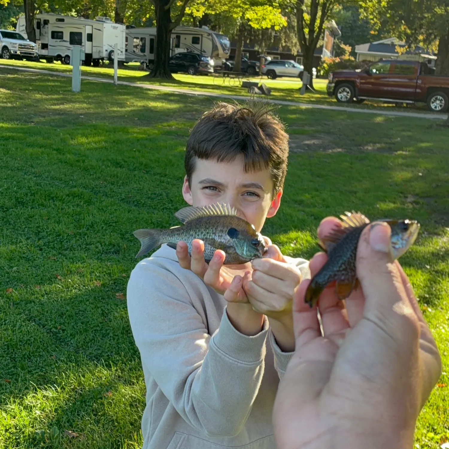 Bluegill caught on Fishbrain