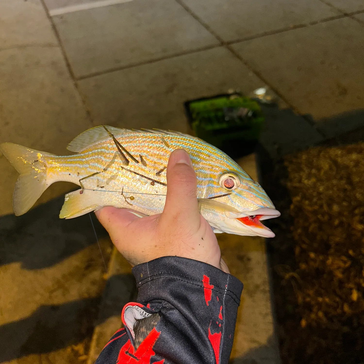 catch