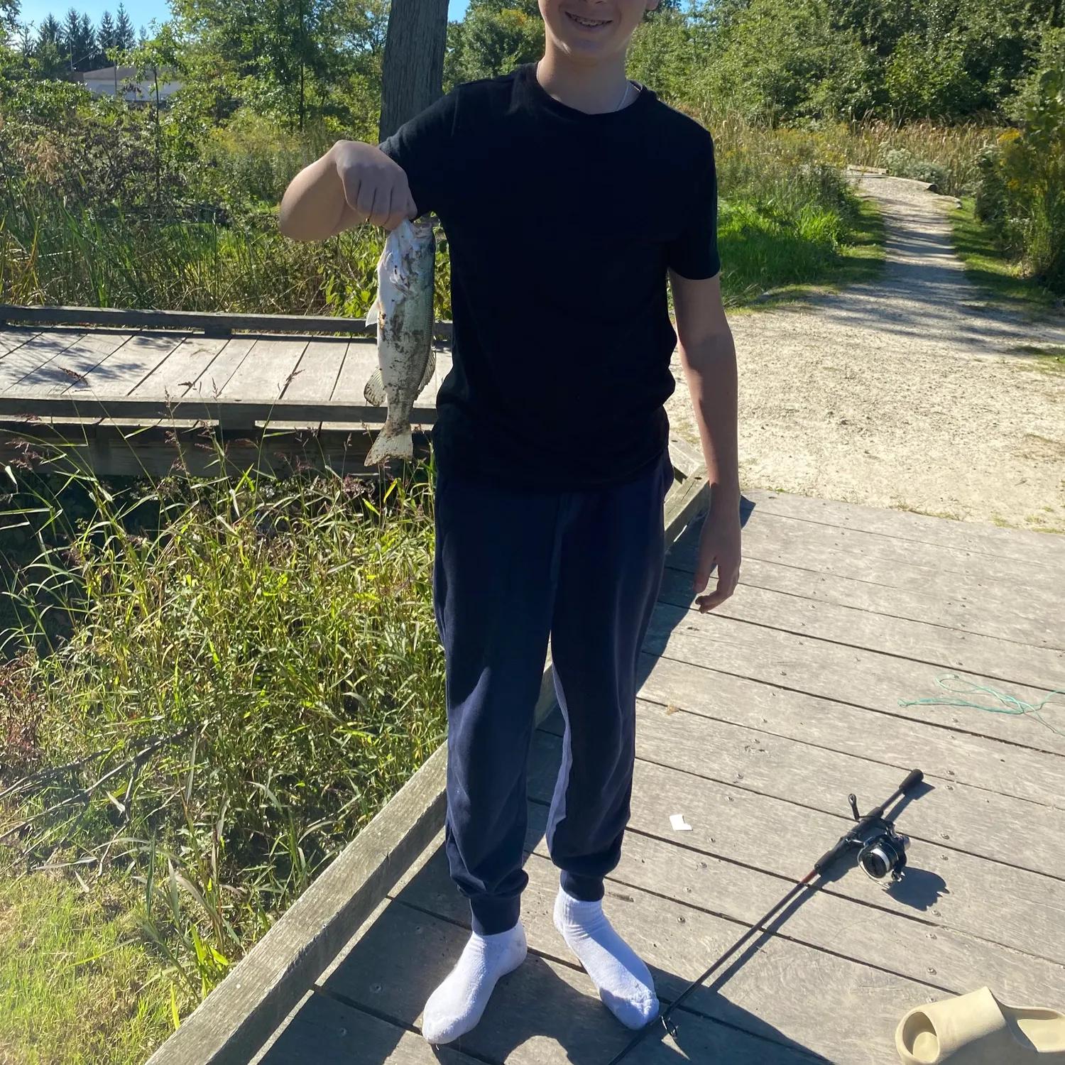 Spotted bass caught on Fishbrain