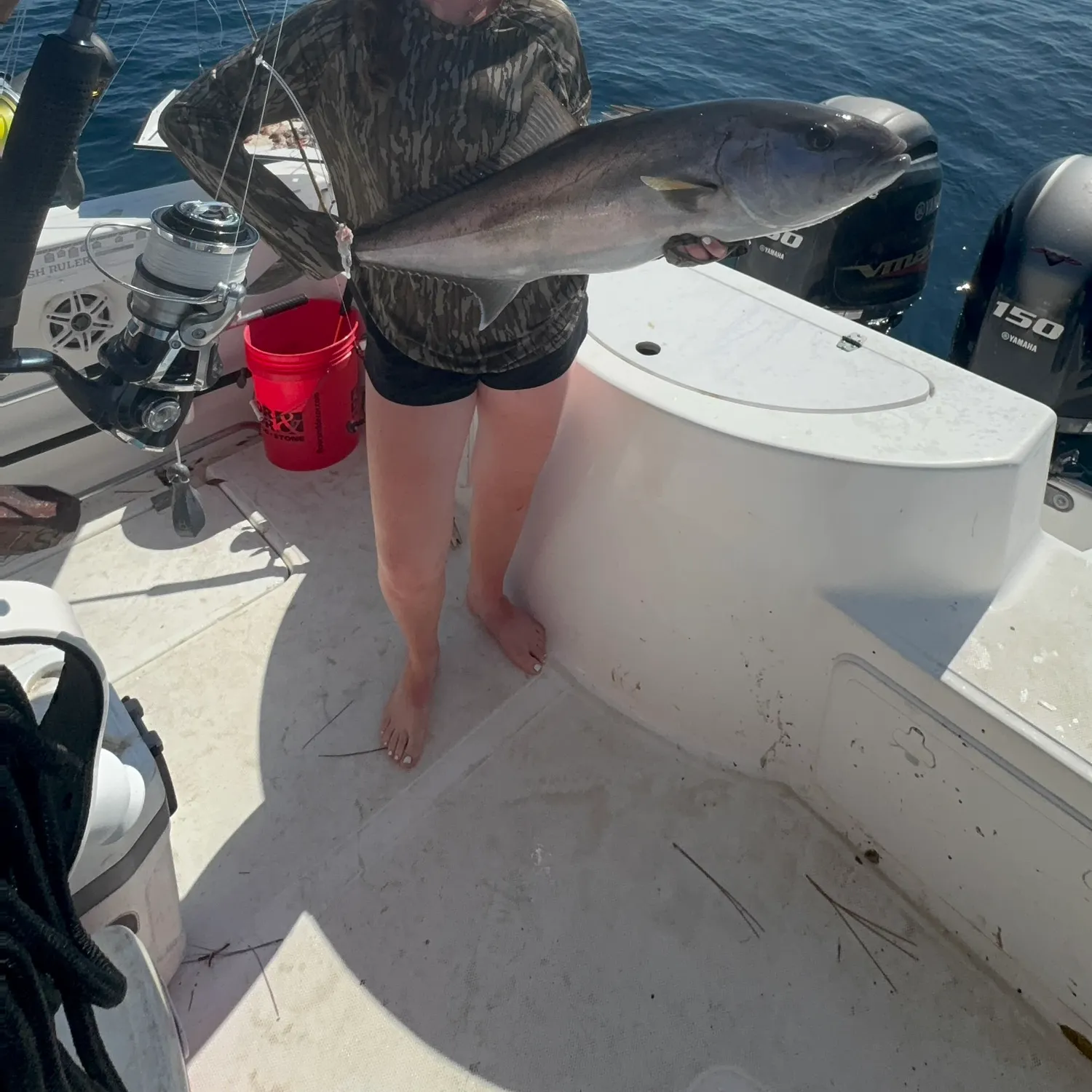 The most recent Greater amberjack catches on Fishbrain