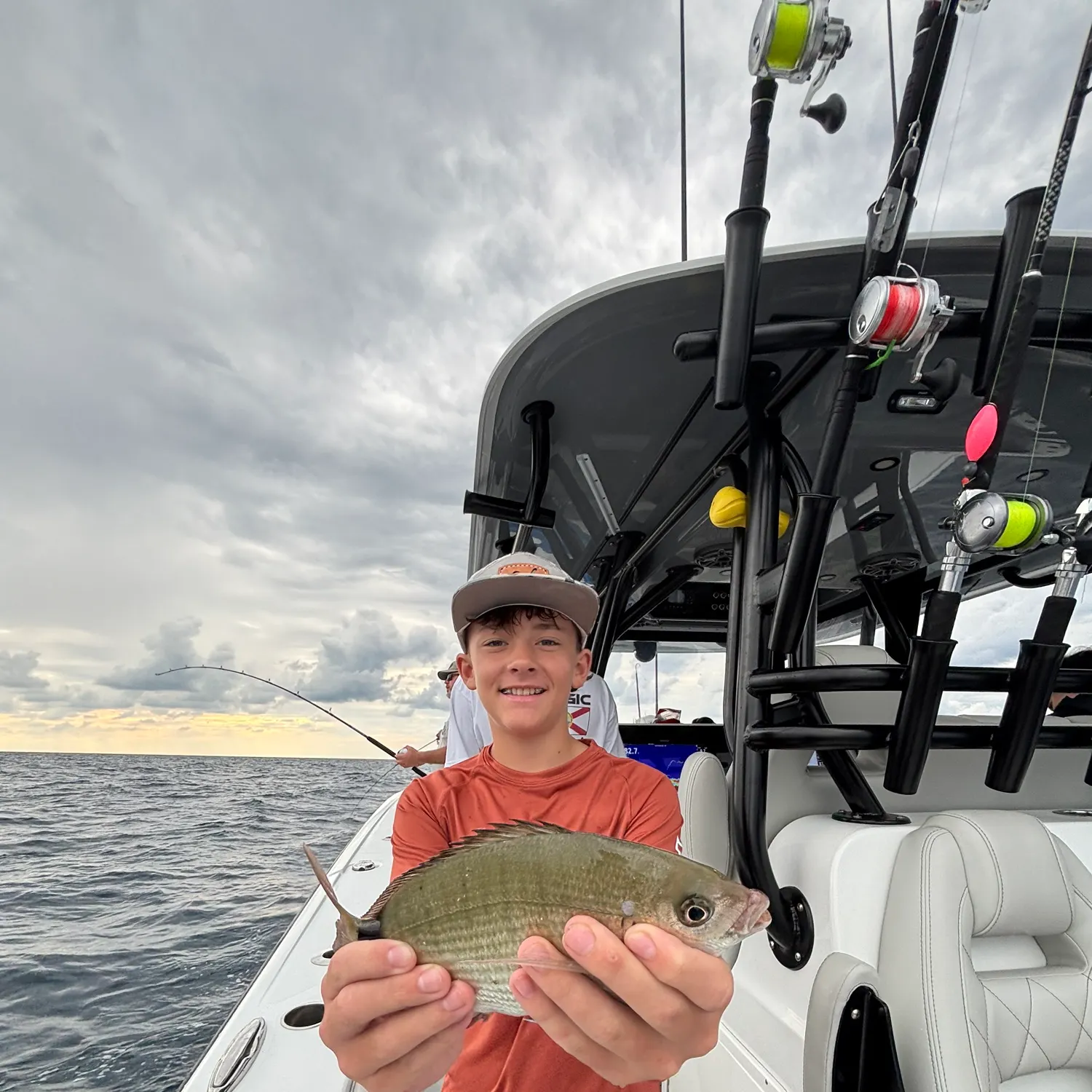 The most recent Spottail seabream catches on Fishbrain