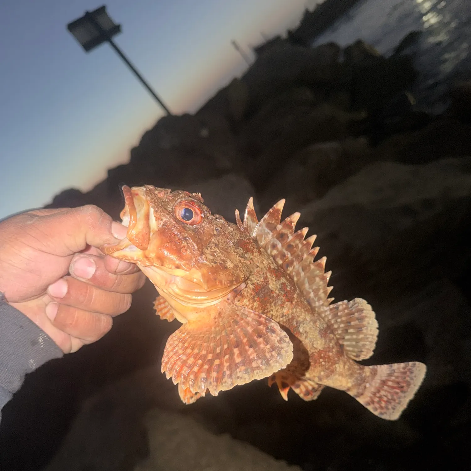 catch