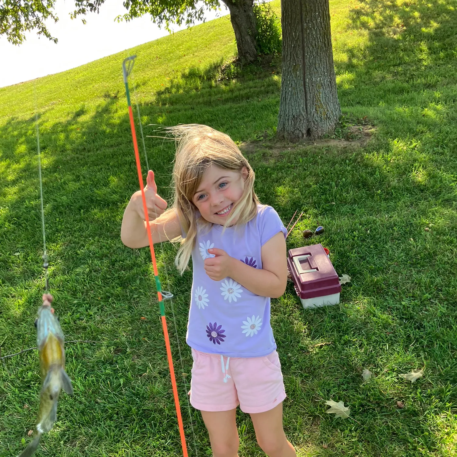 Bluegill caught on Fishbrain