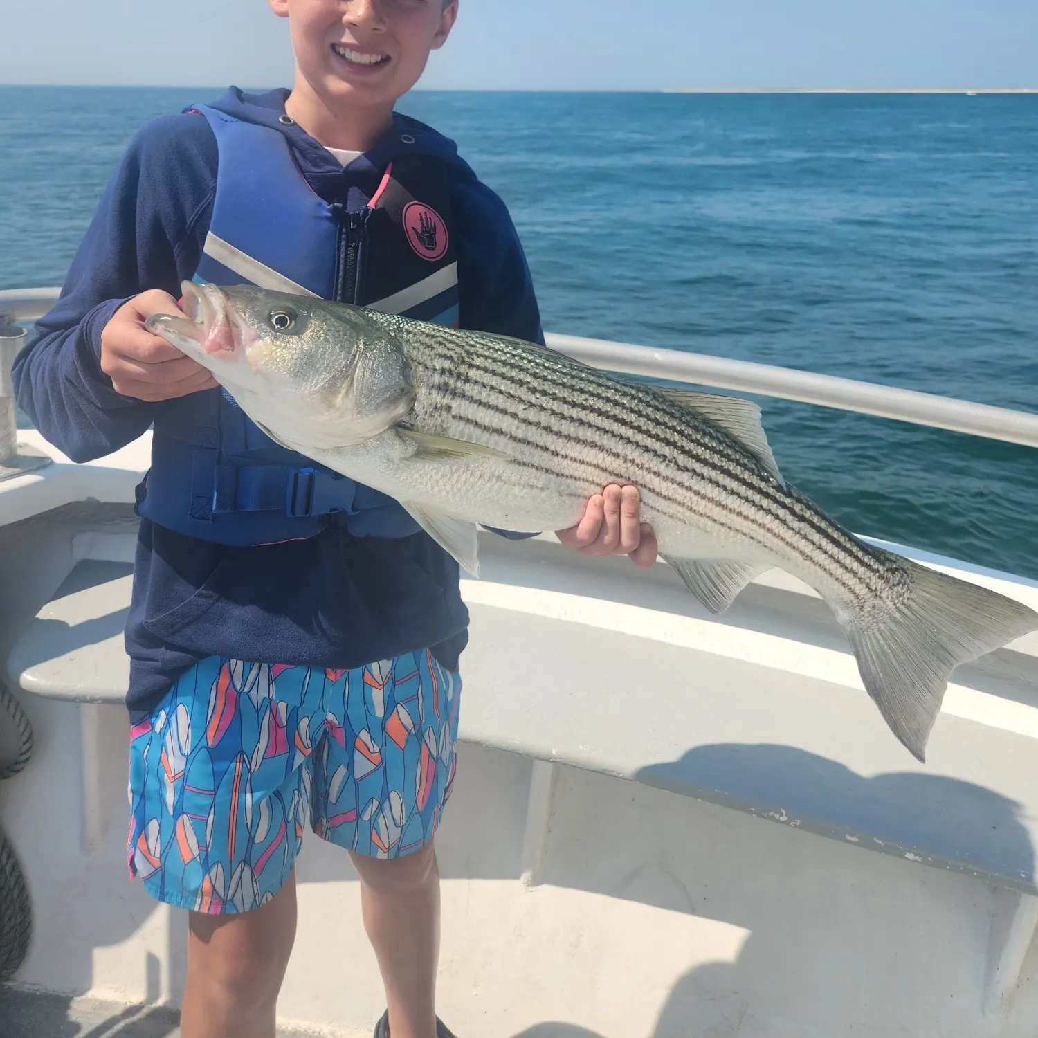 Striped bass caught on Fishbrain