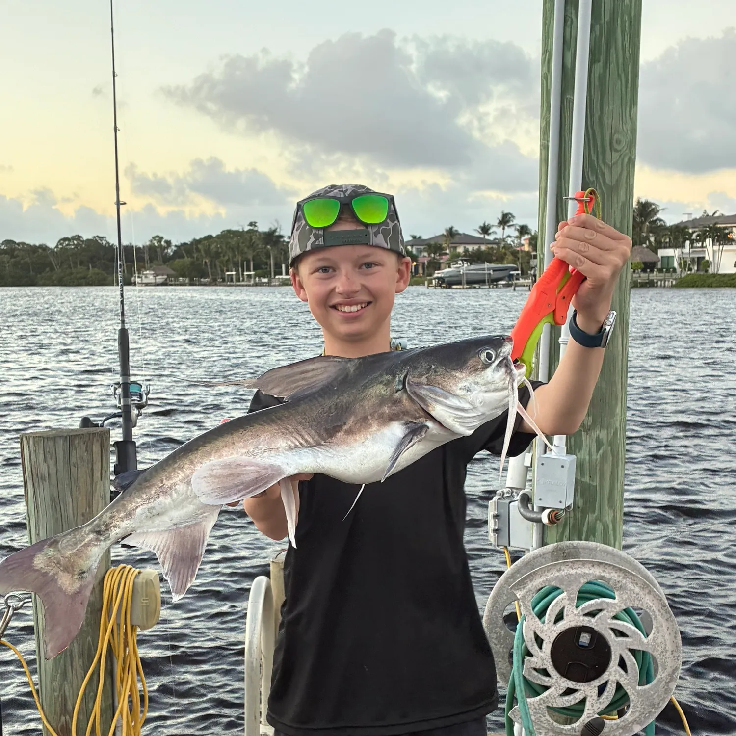 Gafftopsail sea catfish caught on Fishbrain