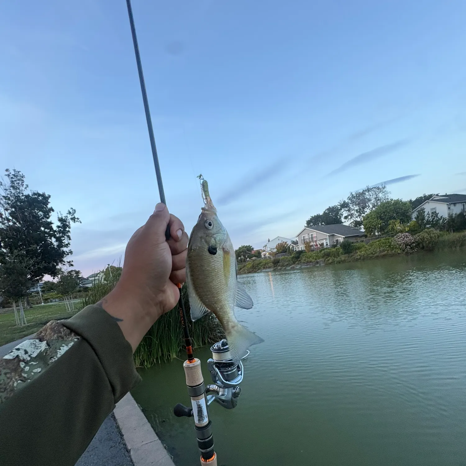 catch
