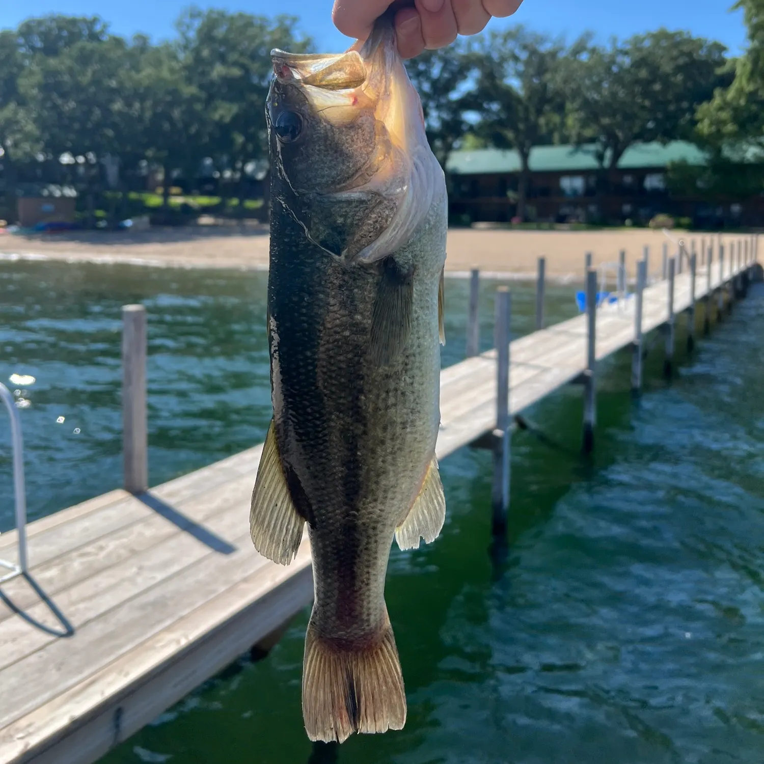 angler catch