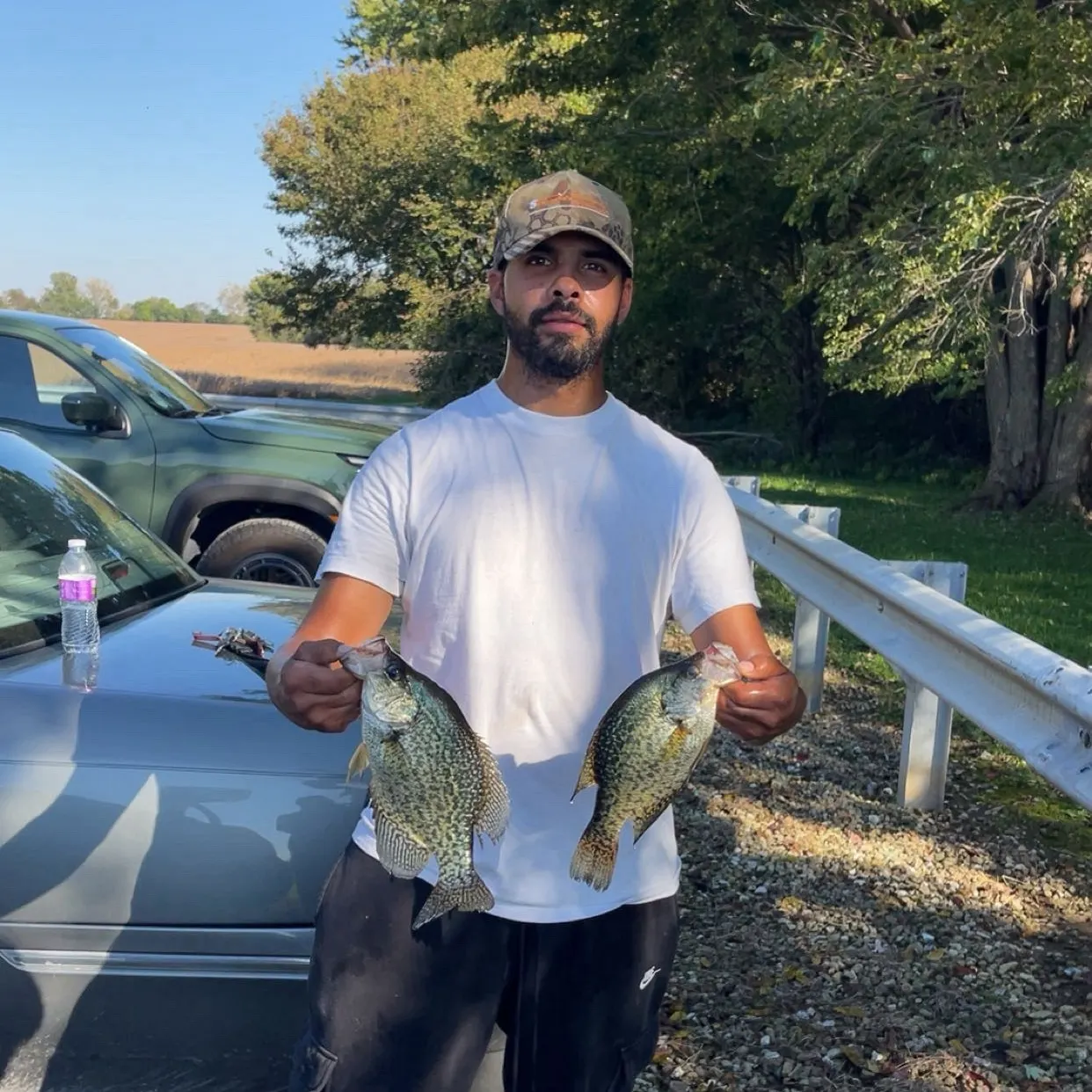 Black crappie caught on Fishbrain