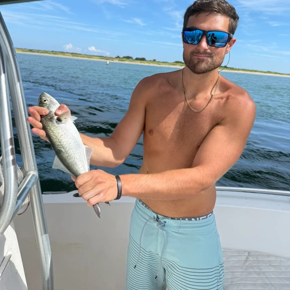 Bluefish caught on Fishbrain