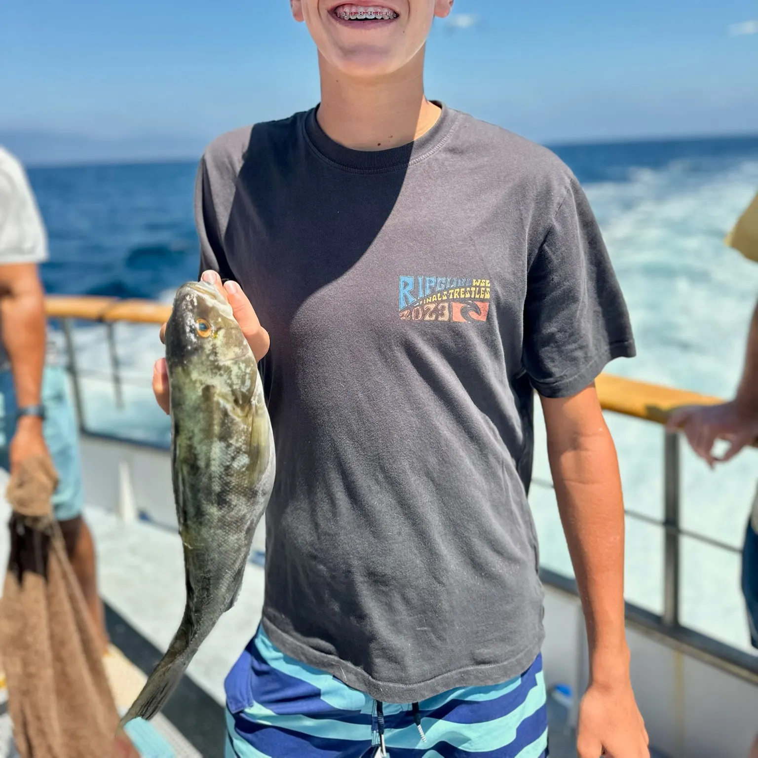The most recent Kelp bass catches on Fishbrain