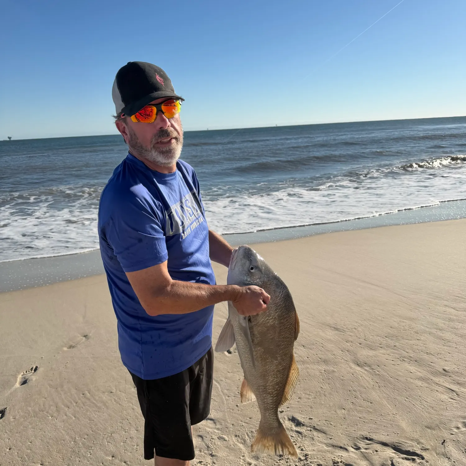Black drum caught on Fishbrain