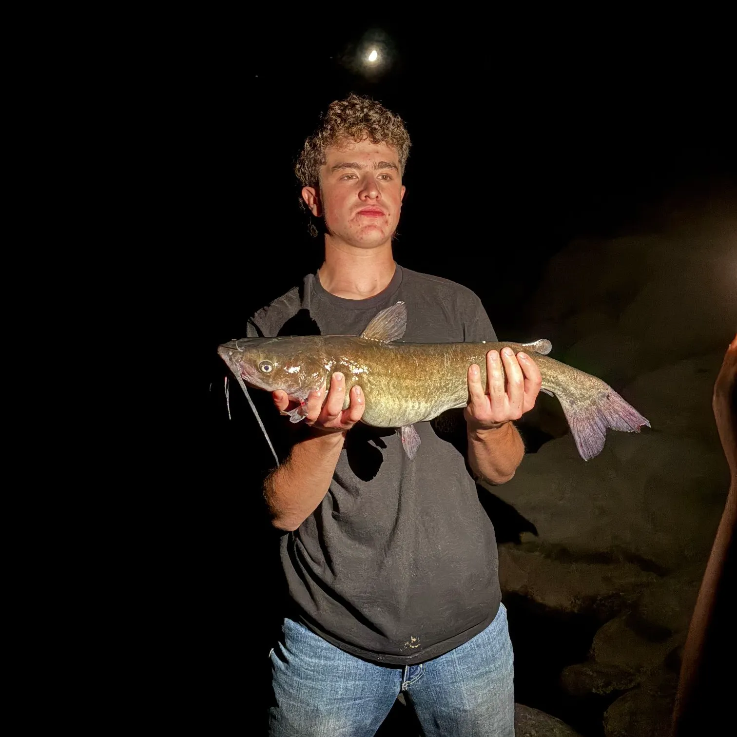 Channel catfish caught on Fishbrain