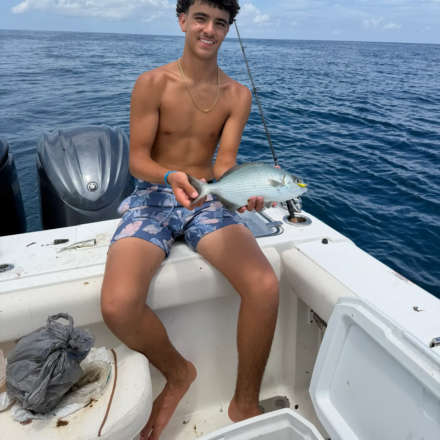 The most recent Bermuda sea chub catches on Fishbrain