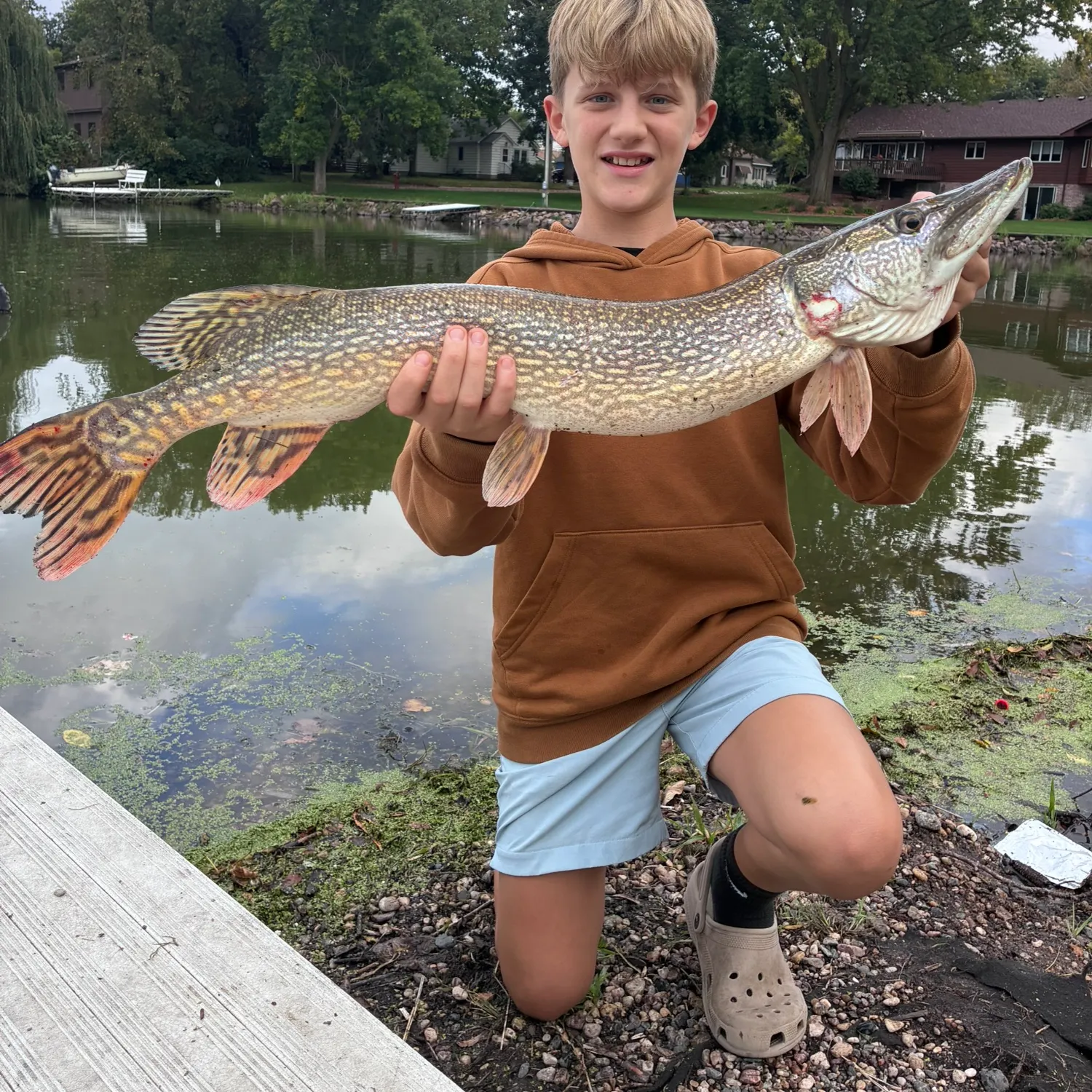 Northern pike caught on Fishbrain