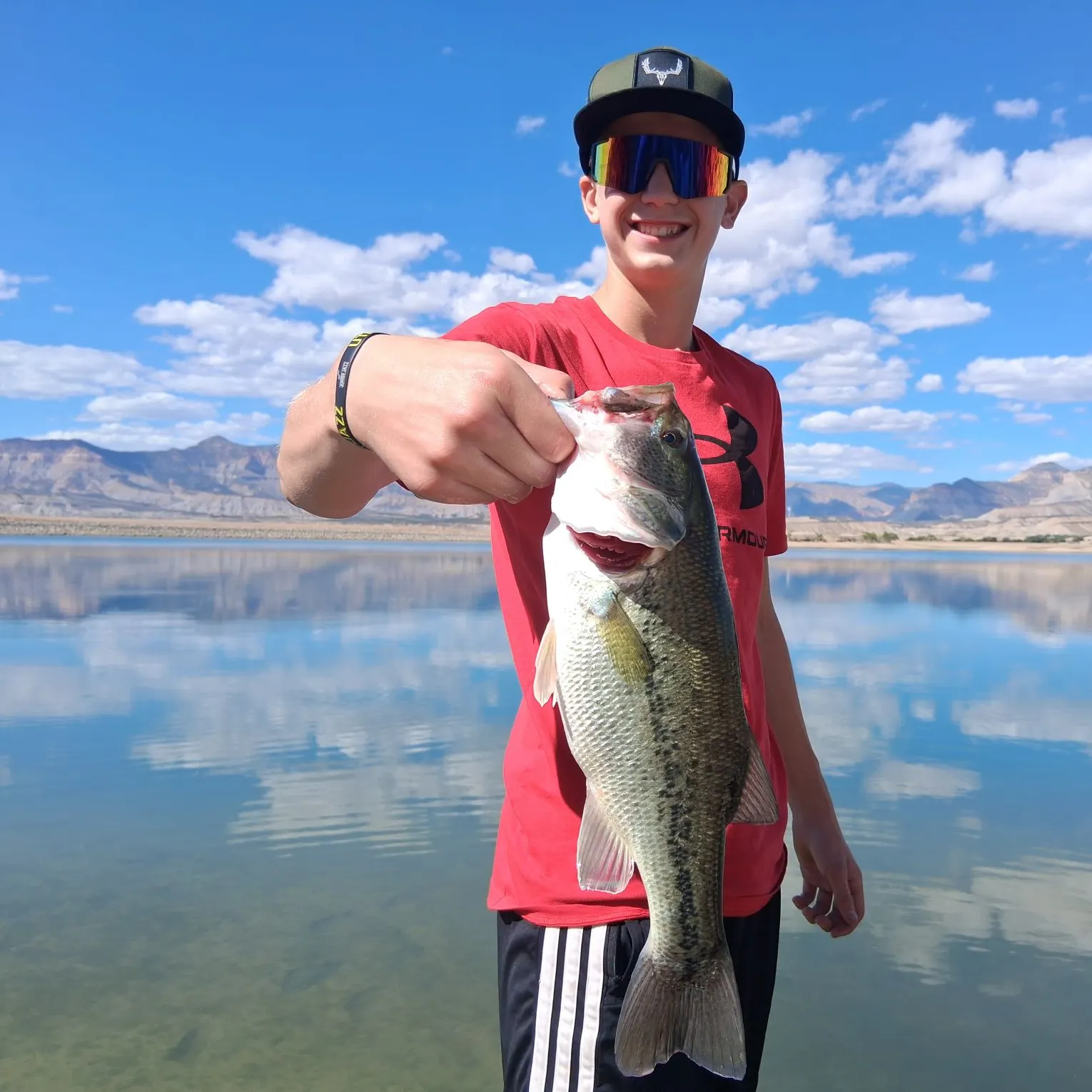 Spotted bass caught on Fishbrain