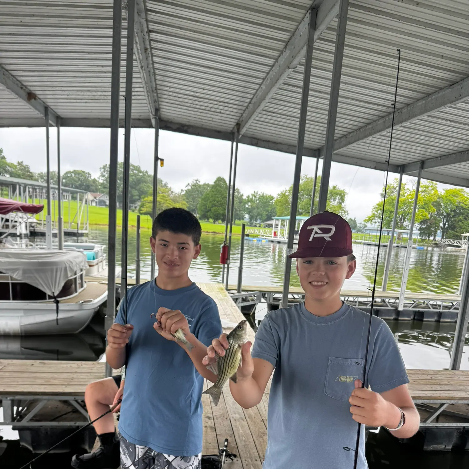 The most recent Yellow bass catches on Fishbrain