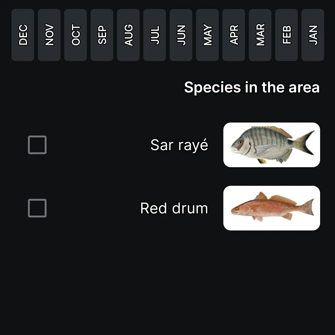 The most recent Gilthead seabream catches on Fishbrain