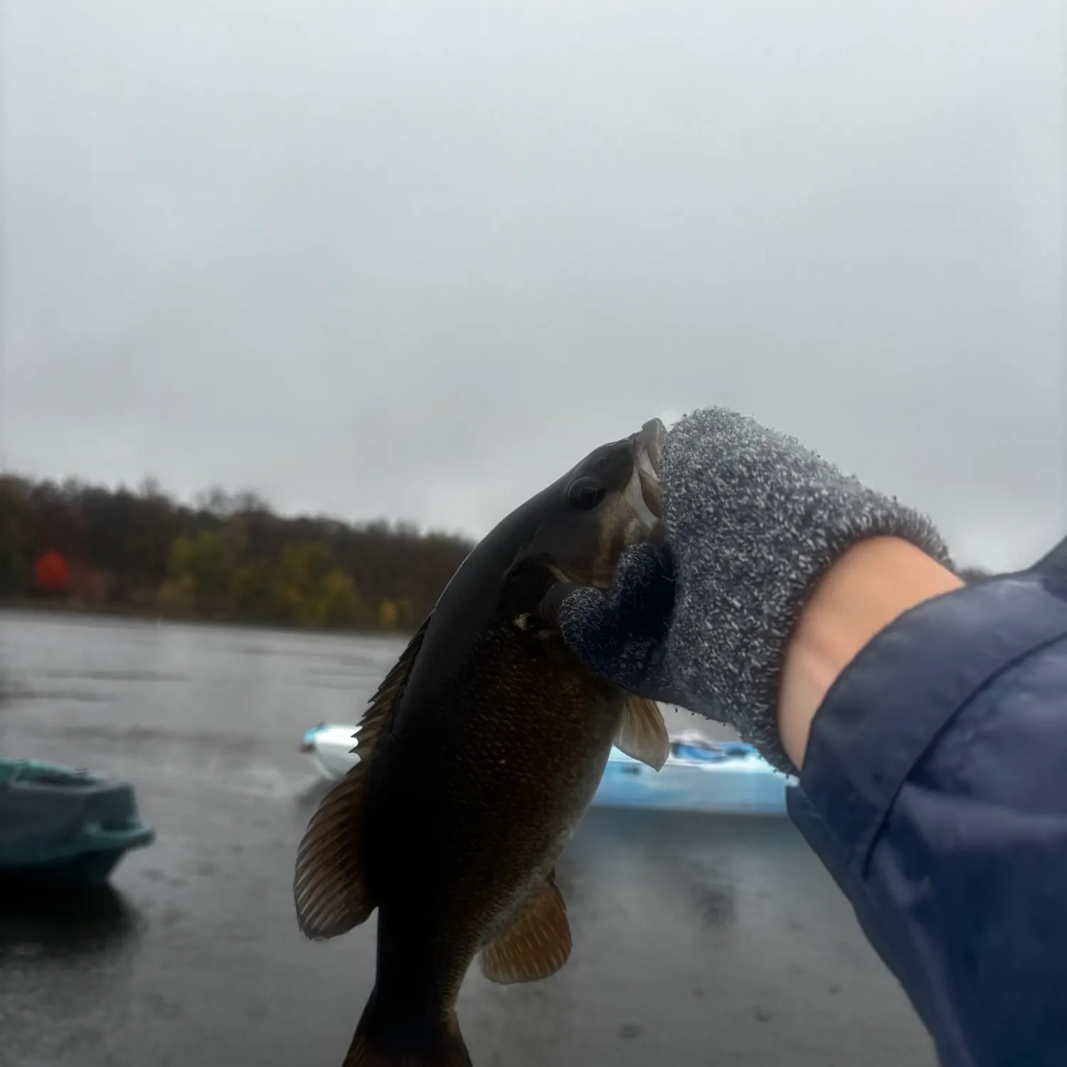 Smallmouth bass caught on Fishbrain