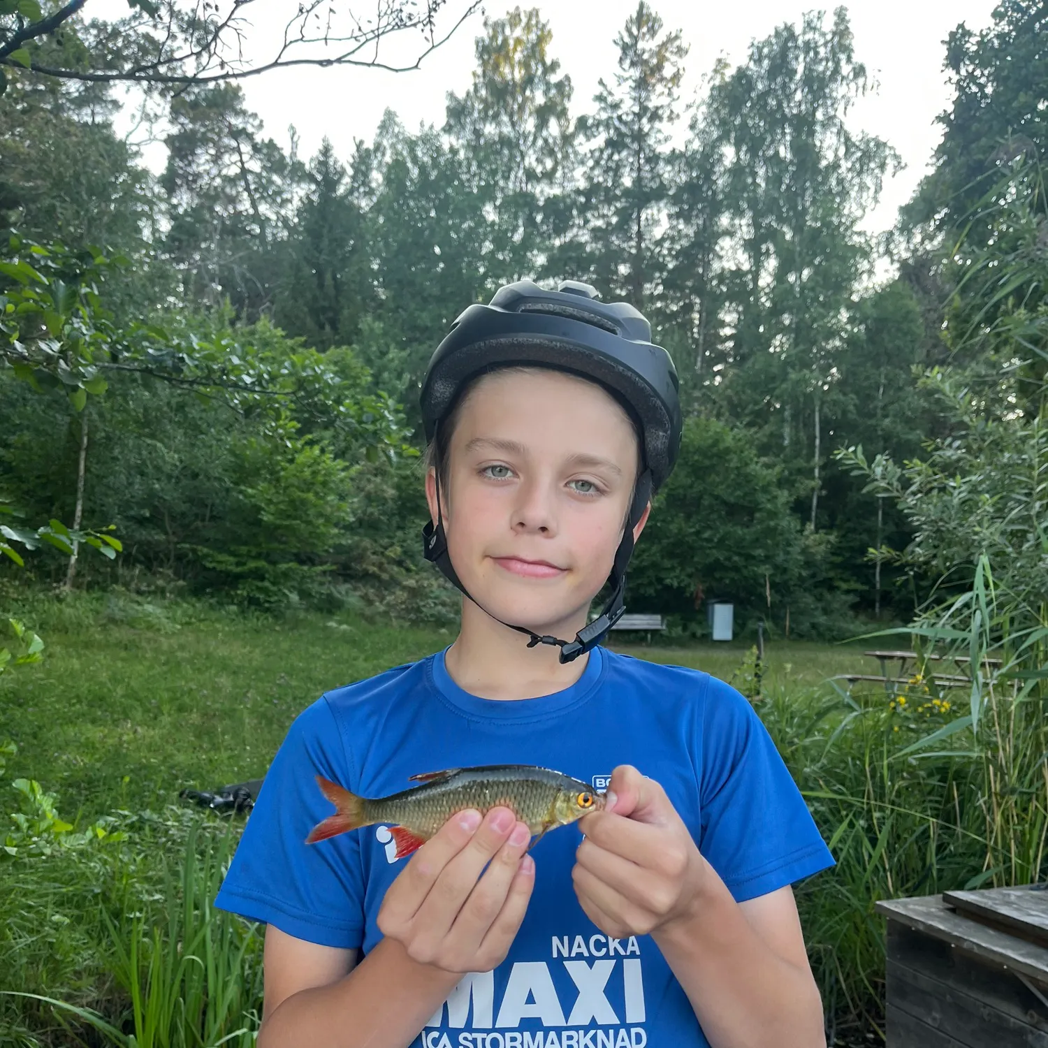 Common rudd caught on Fishbrain