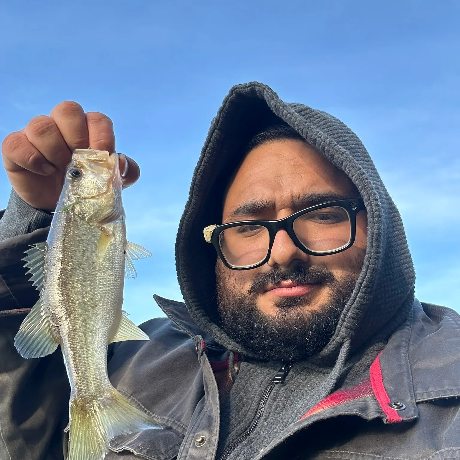 The most recent Largemouth bass catches on Fishbrain