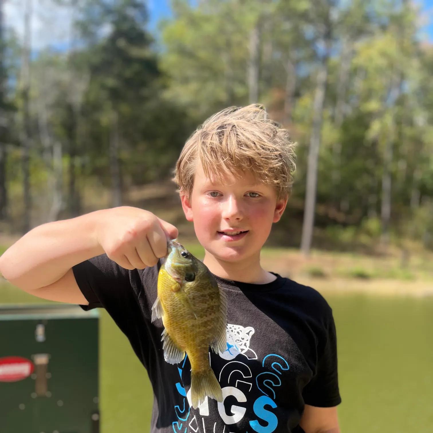 The most recent Bluegill catches on Fishbrain