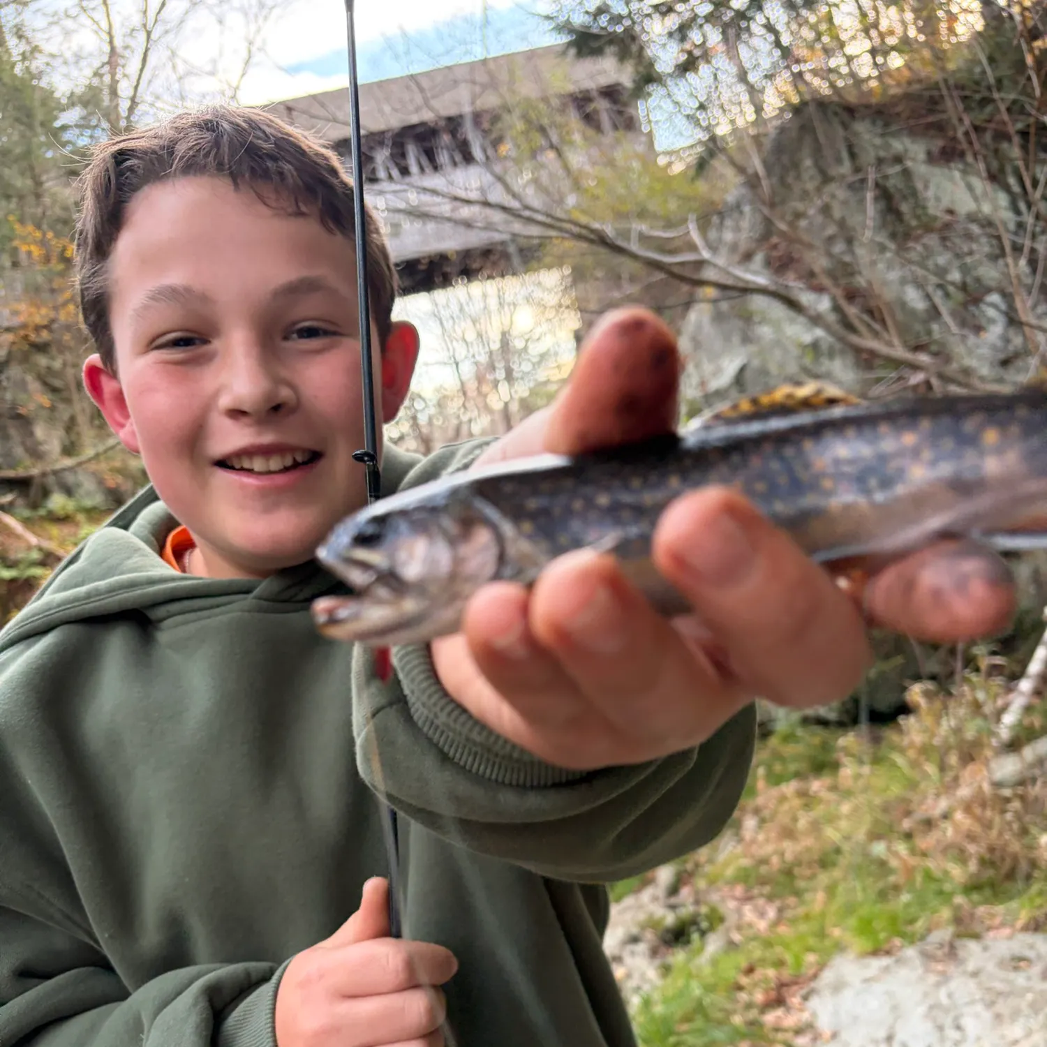 Brook trout caught on Fishbrain