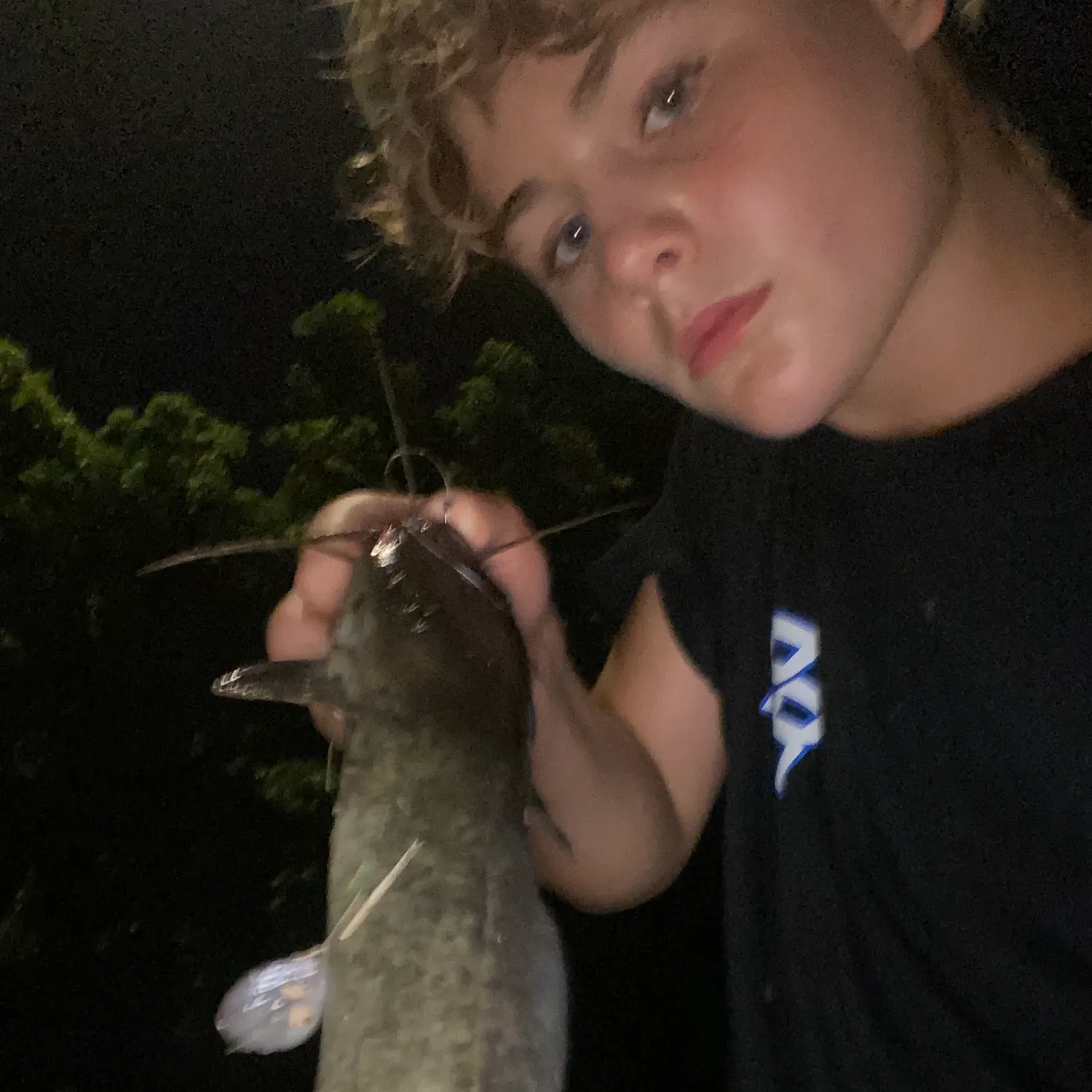 The most recent Walking catfish catches on Fishbrain