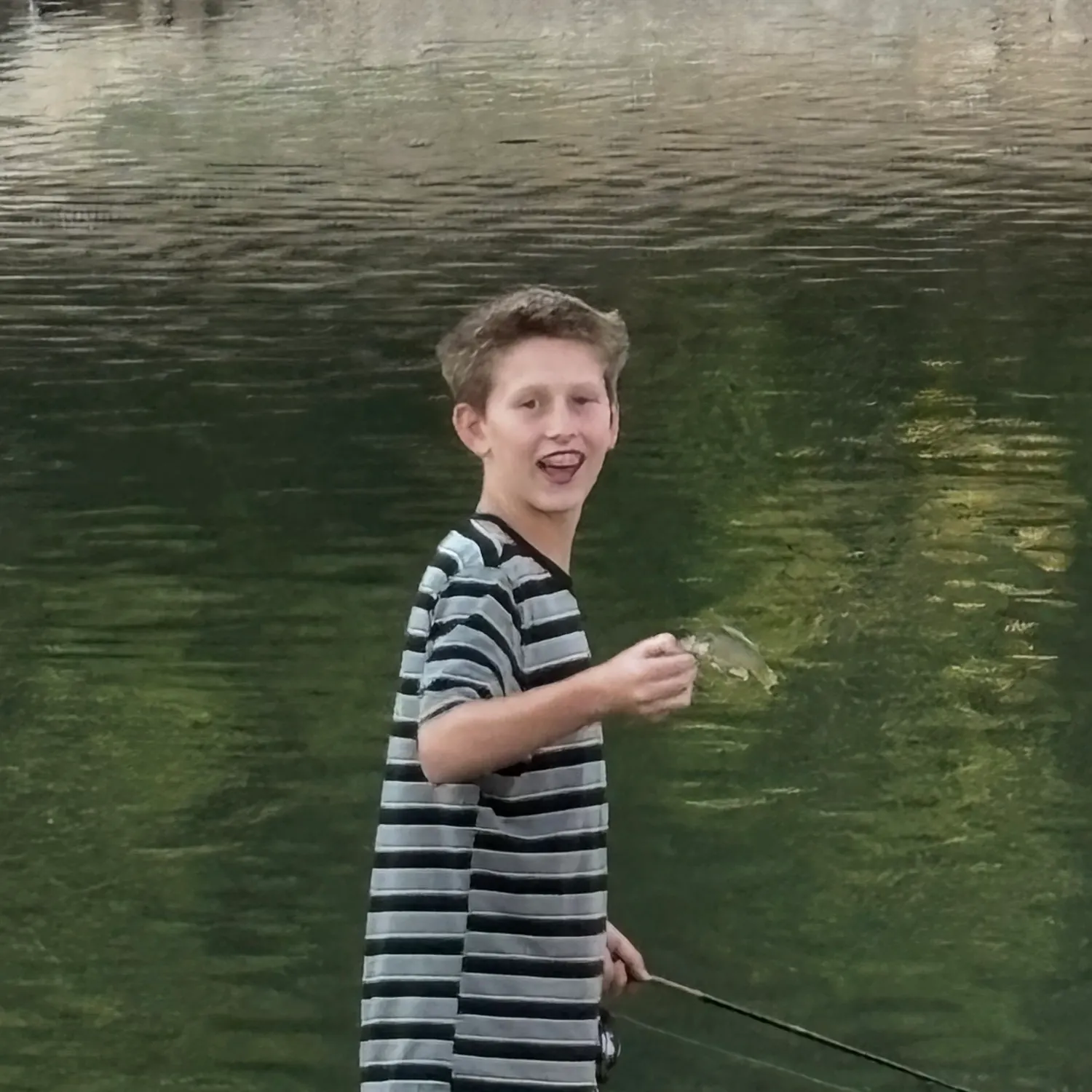 Green sunfish caught on Fishbrain
