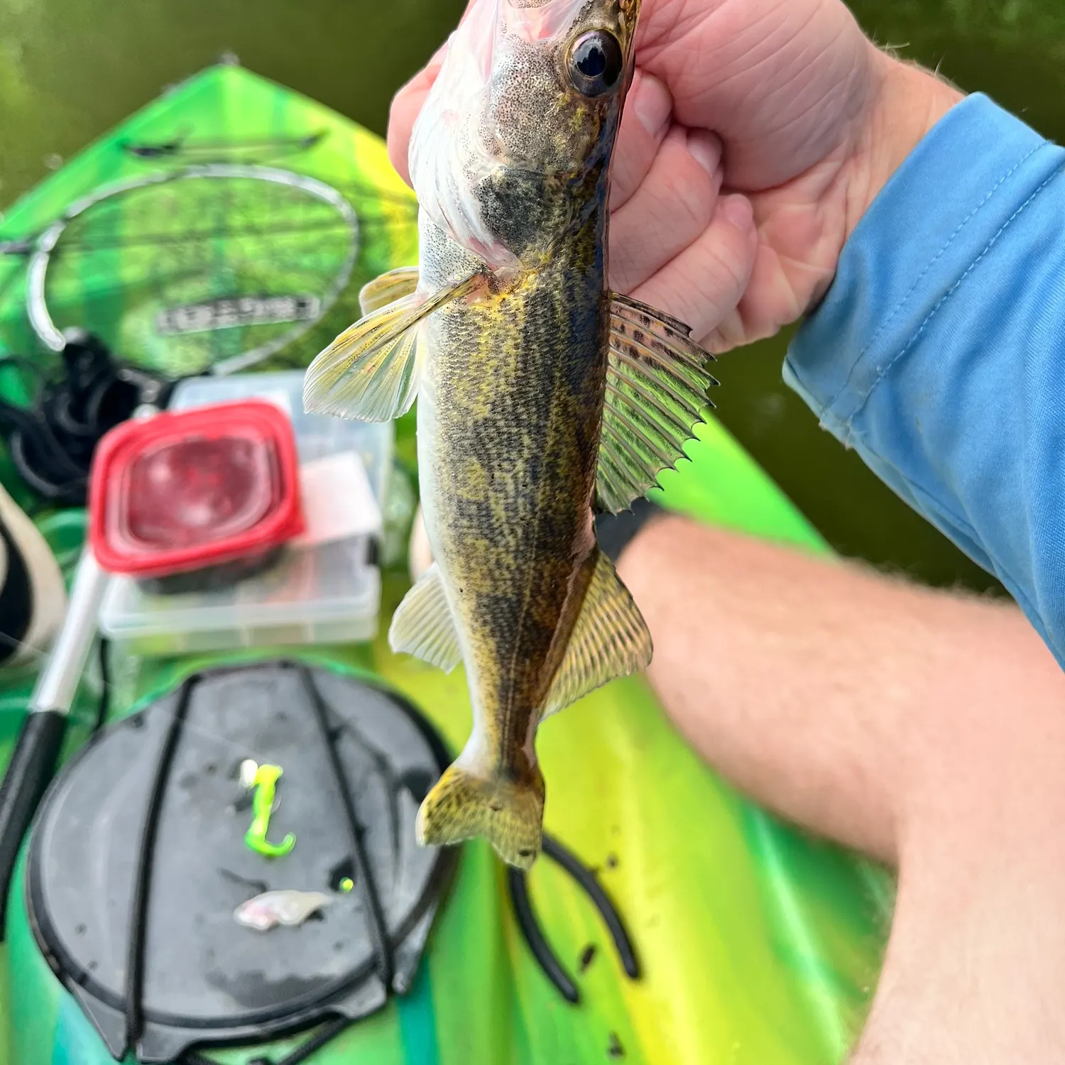 most liked catch image