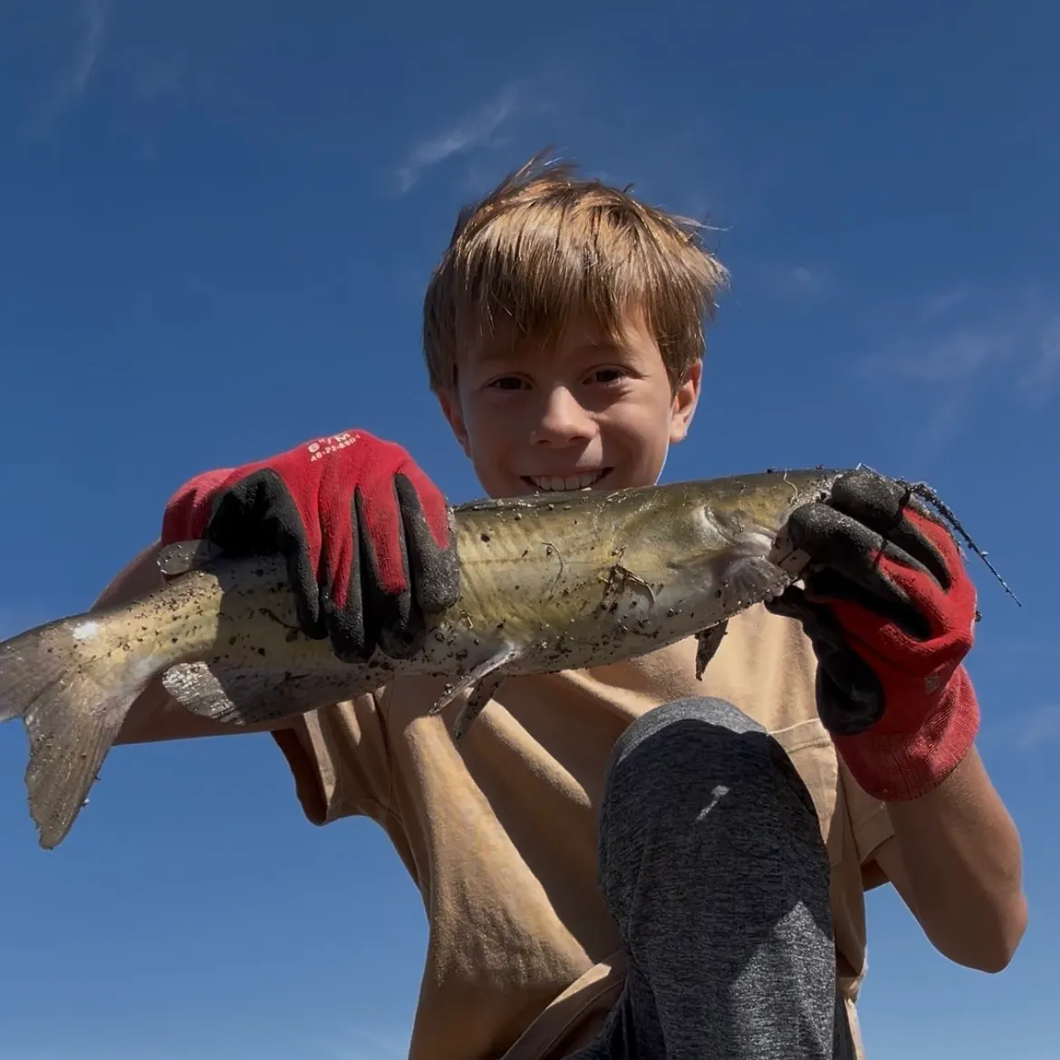 Channel catfish caught on Fishbrain