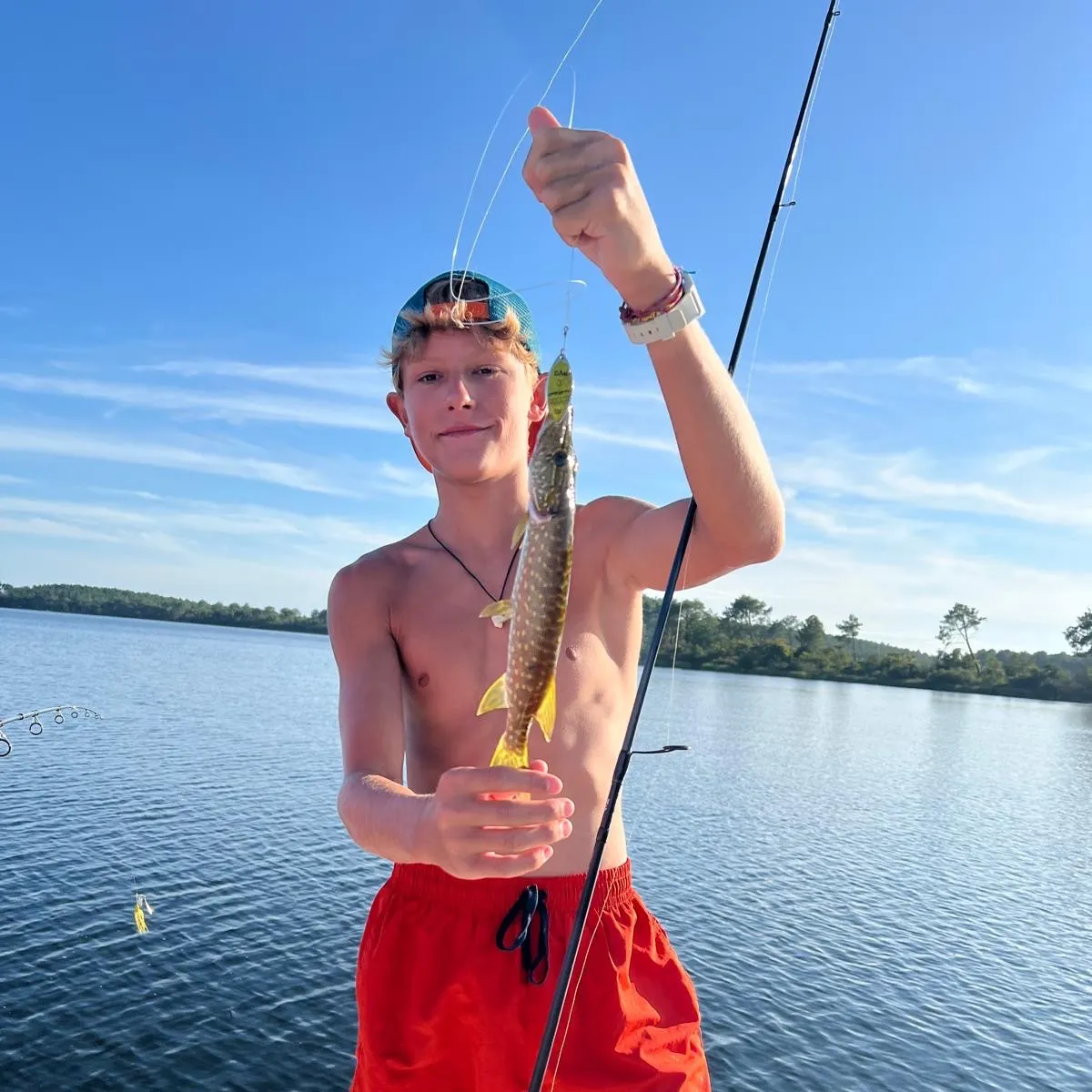 Northern pike caught on Fishbrain
