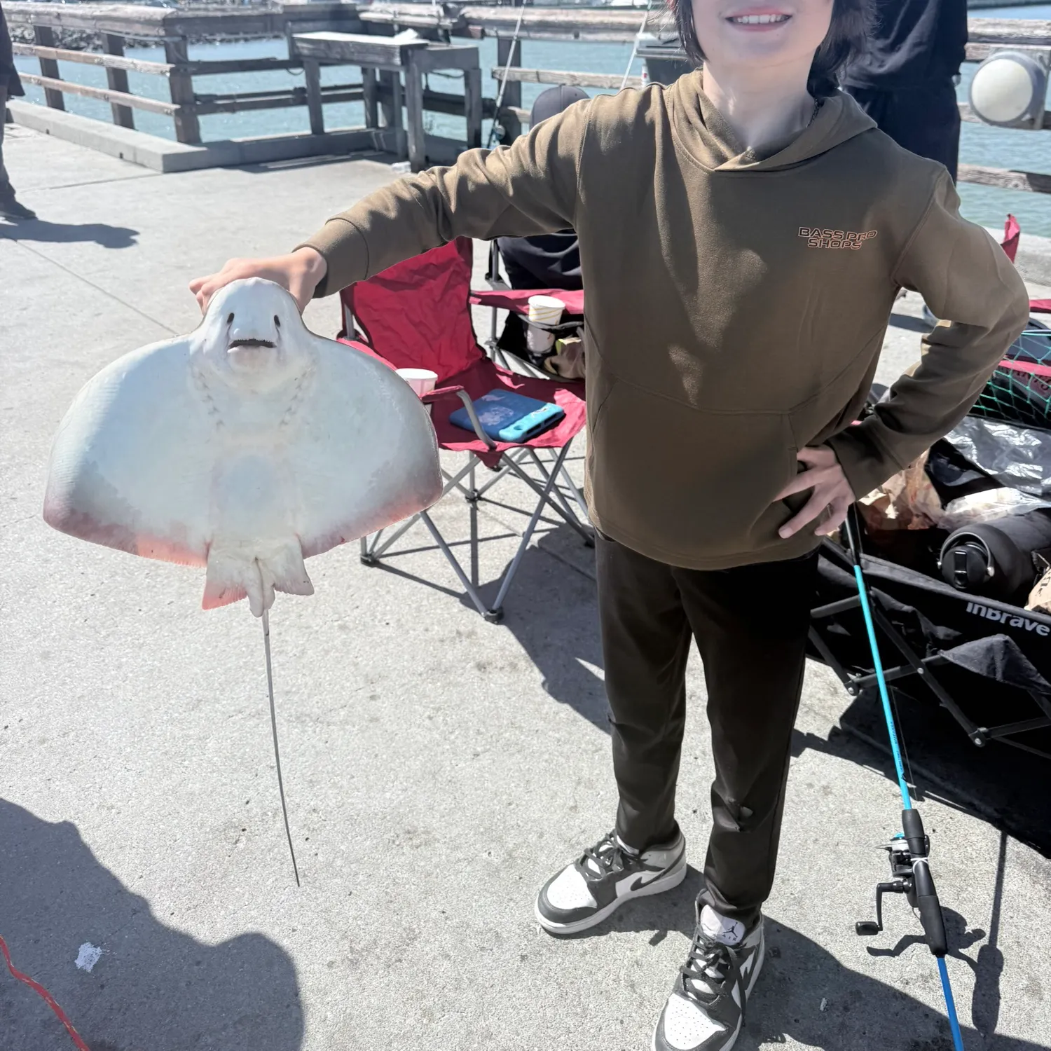 The most recent Bat eagle ray catches on Fishbrain