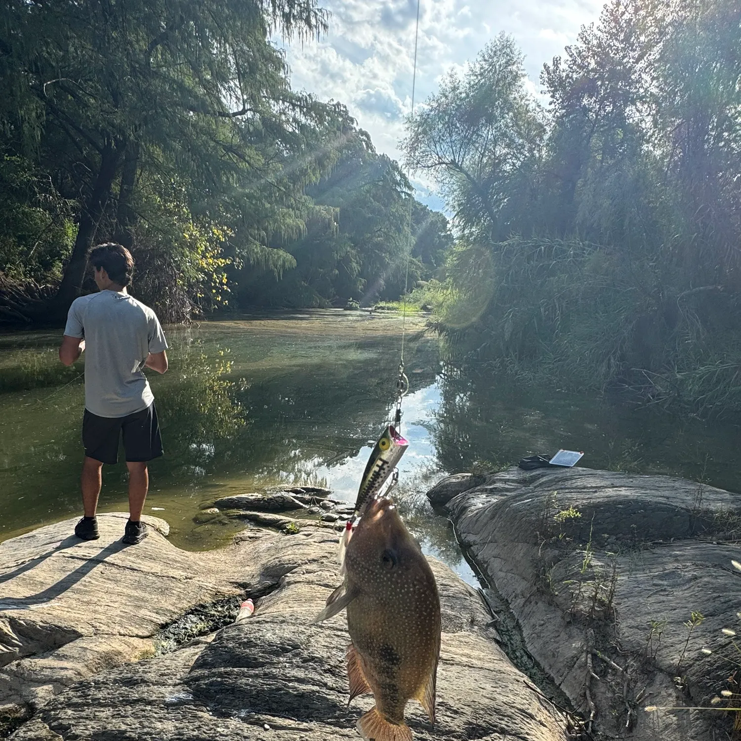 Nile tilapia caught on Fishbrain